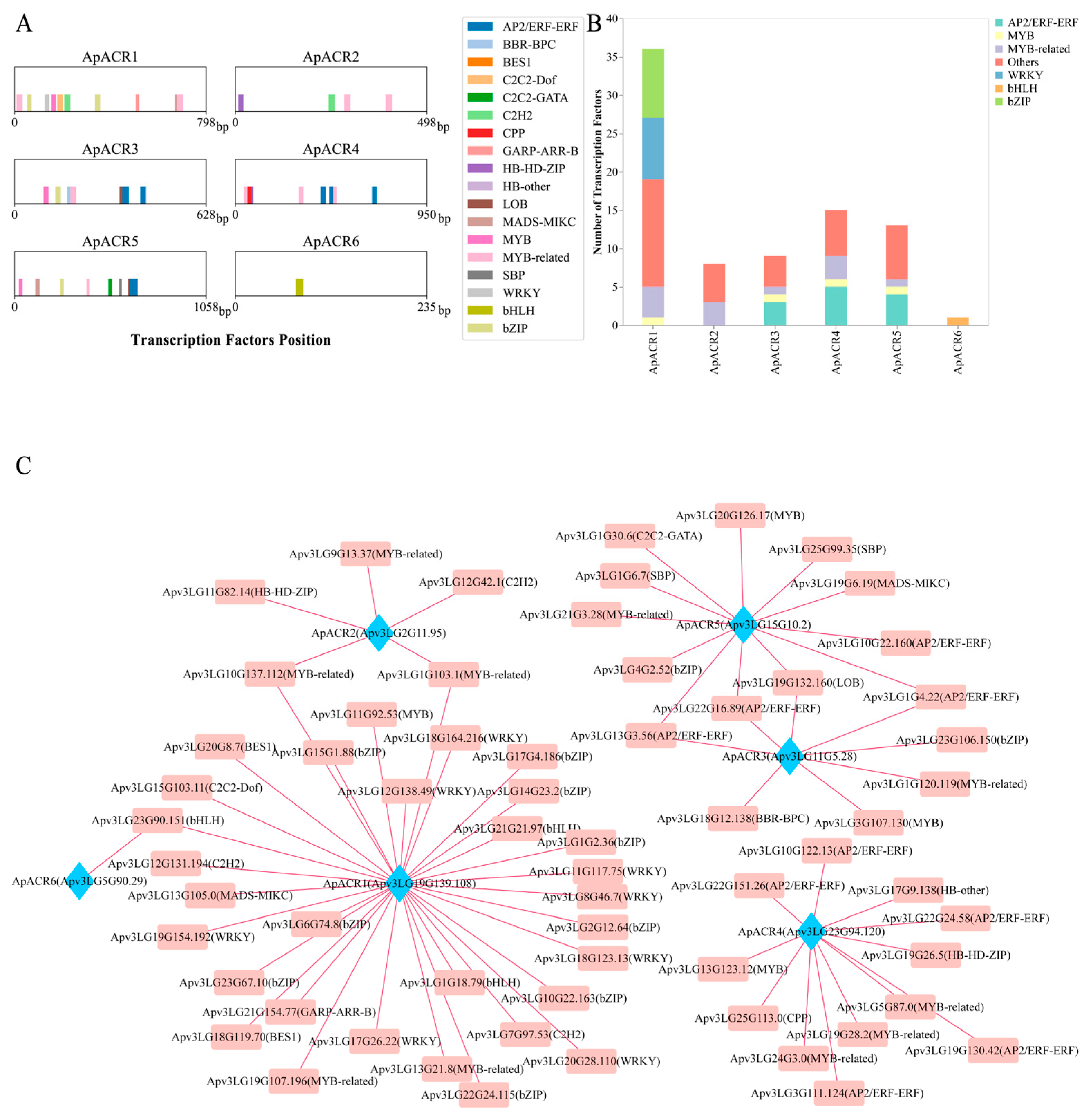 Horticulturae 11 00063 g002 Horticulturae 11 00063 g002