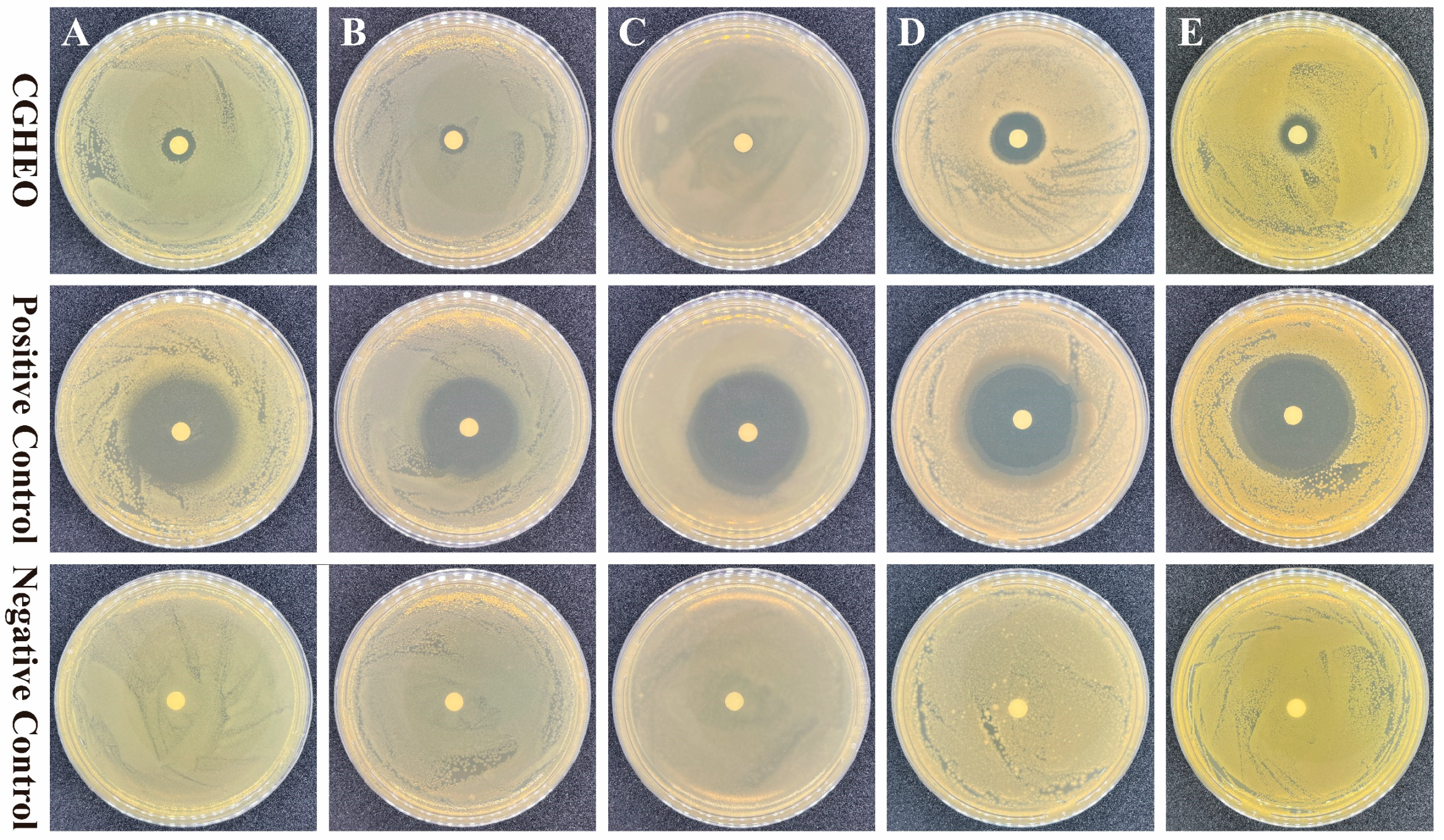 Horticulturae 11 00067 g003