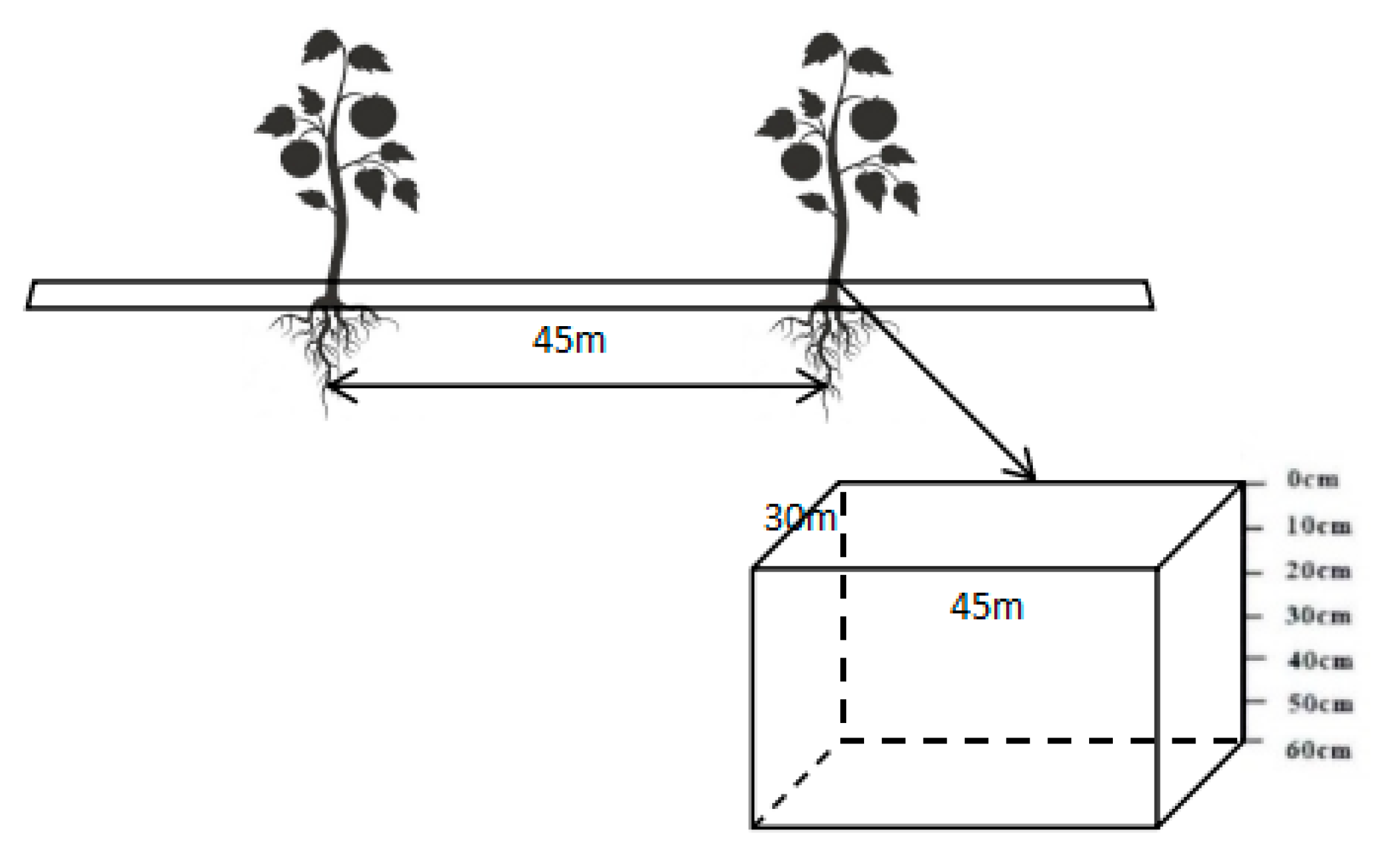 Horticulturae 11 00099 g001