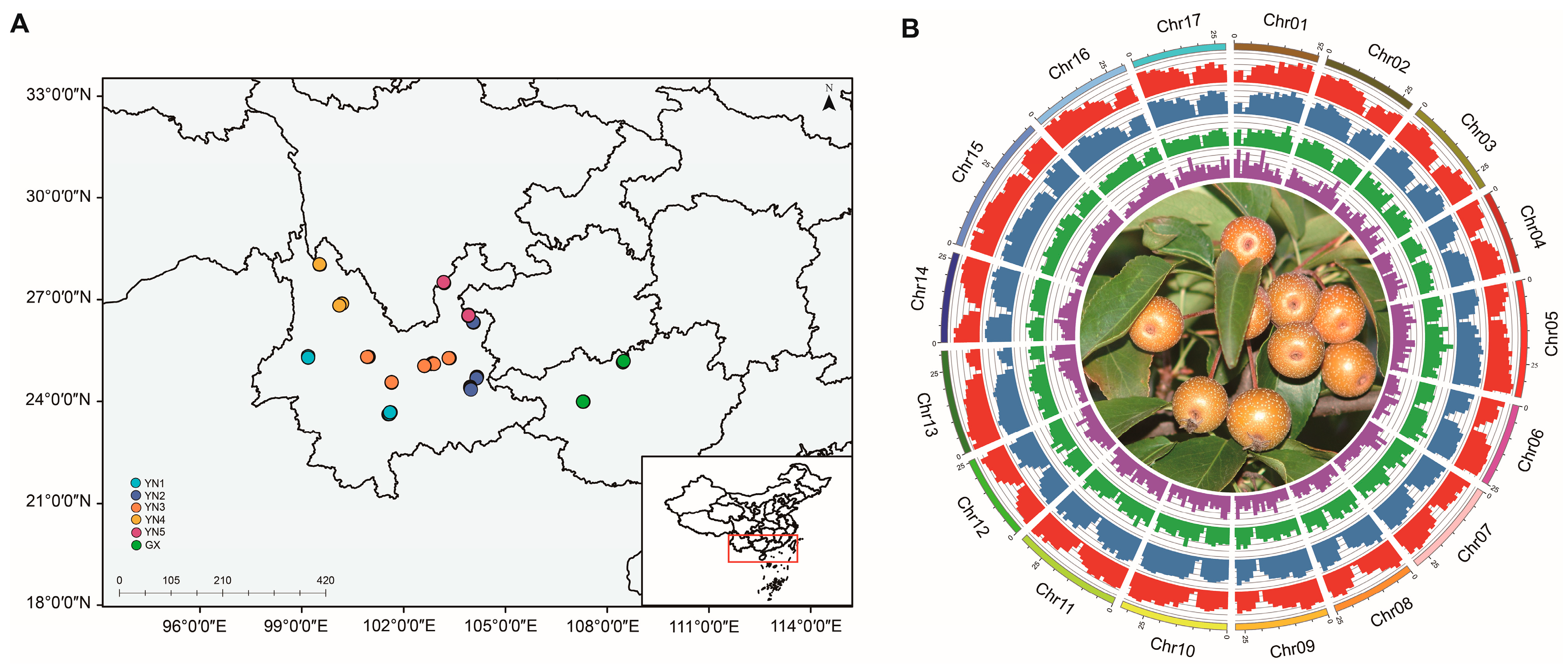Horticulturae 11 00106 g002