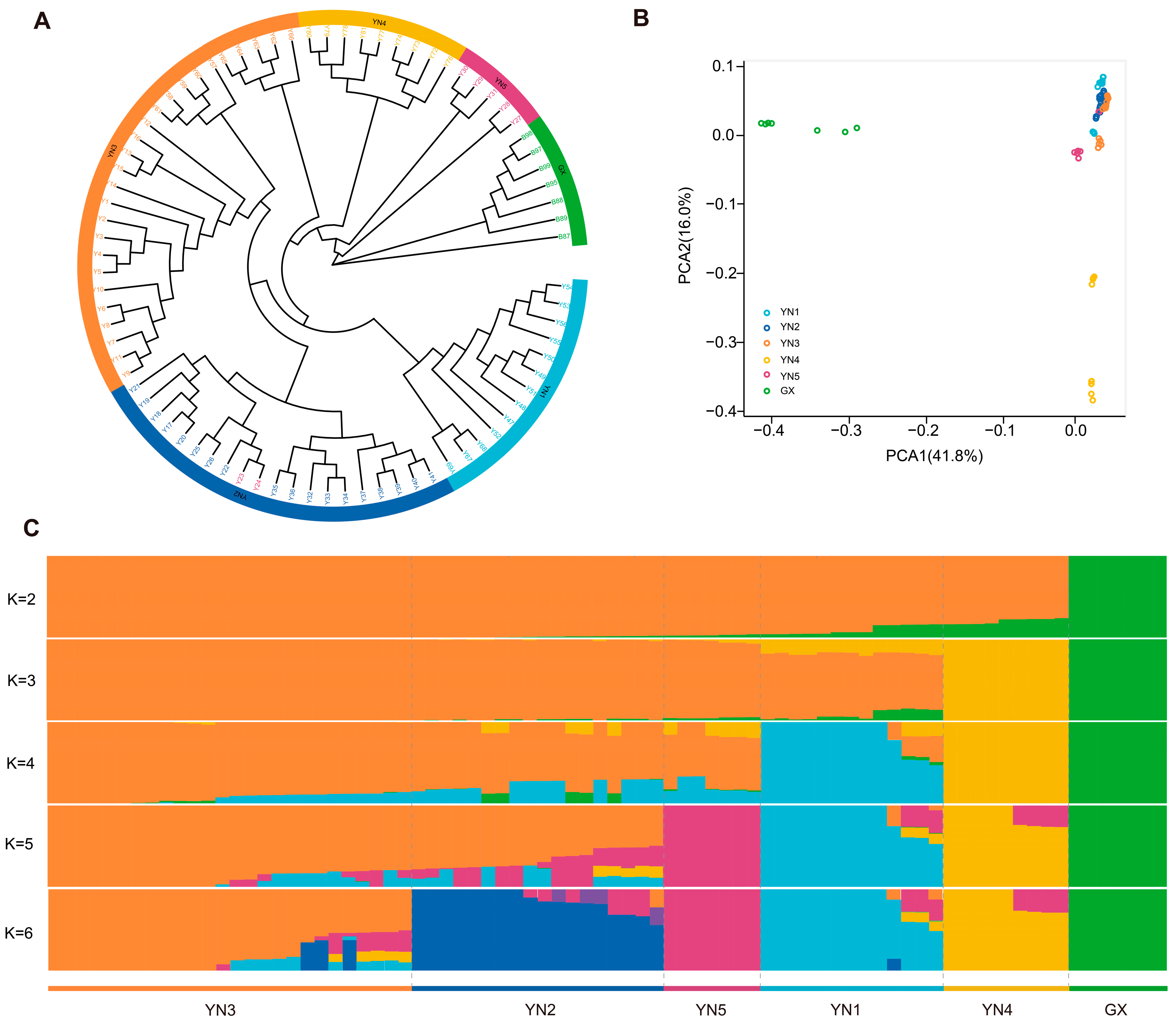 Horticulturae 11 00106 g003