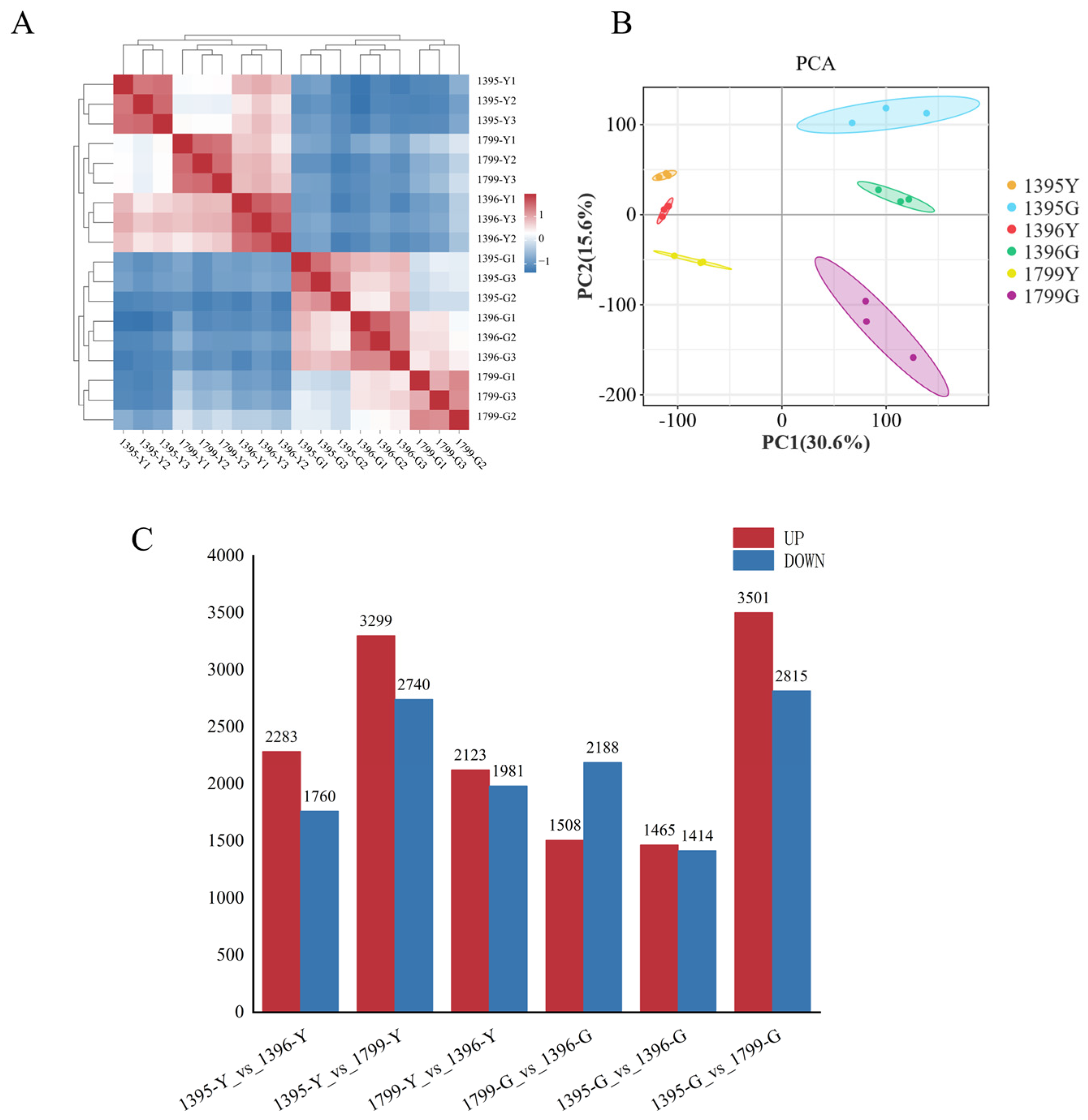 Horticulturae 11 00109 g002
