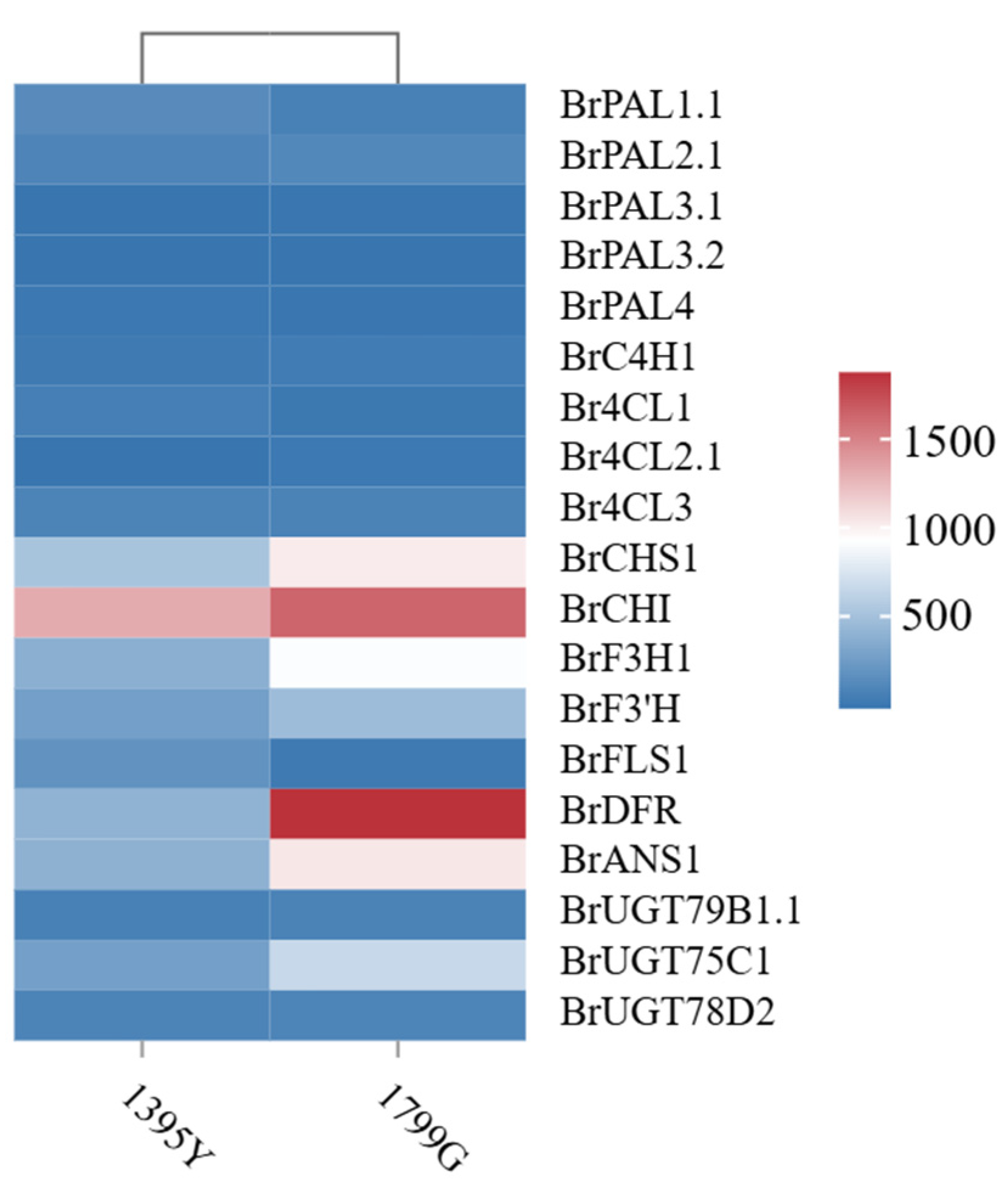 Horticulturae 11 00109 g005