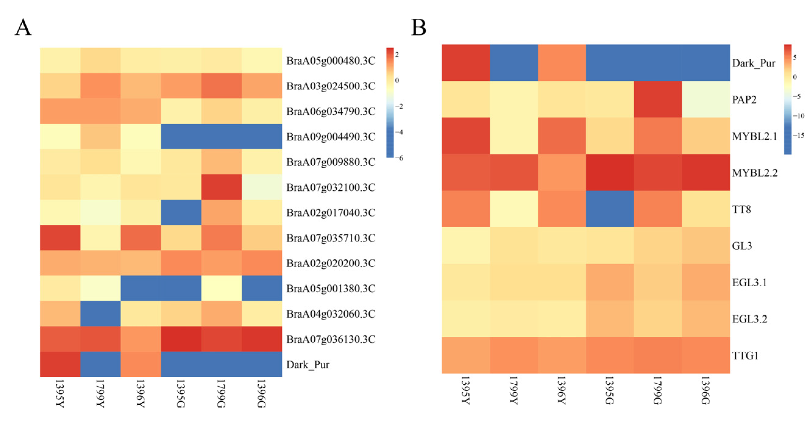 Horticulturae 11 00109 g006