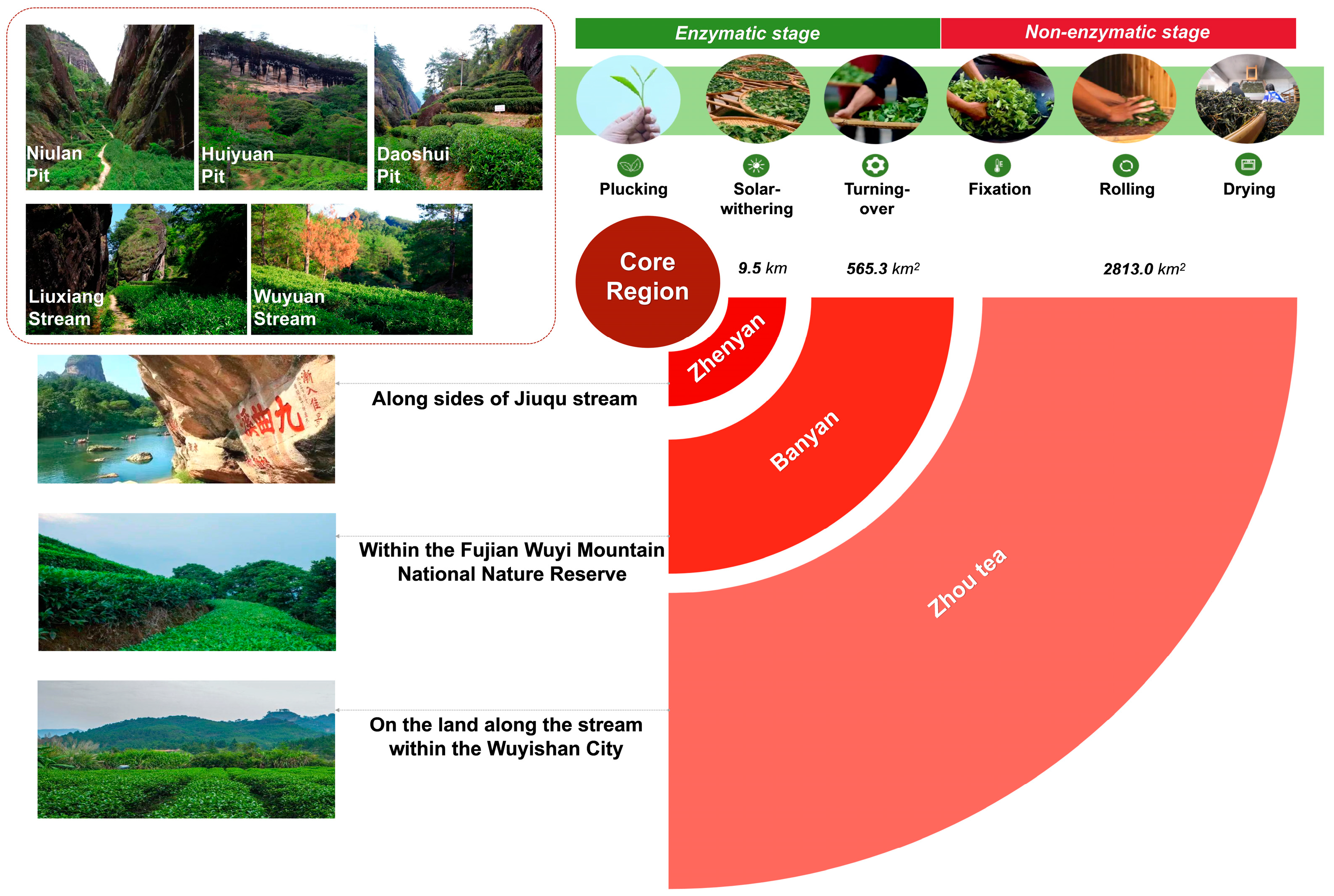 Horticulturae 11 00120 g001