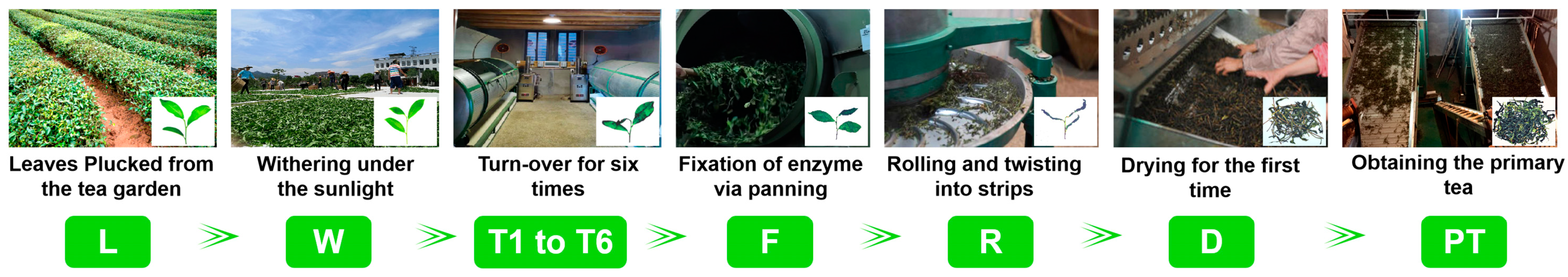 Horticulturae 11 00120 g002