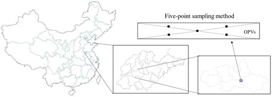 Horticulturae 11 00126 g001