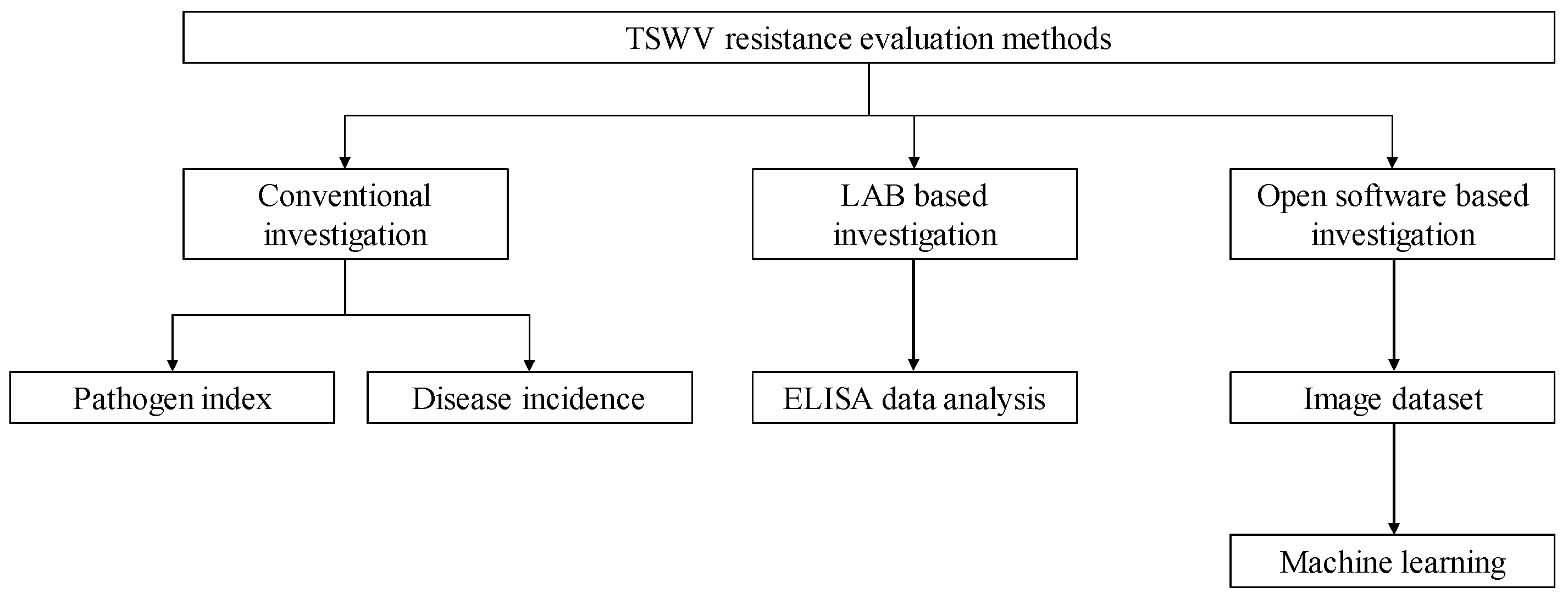 Horticulturae 11 00132 g001