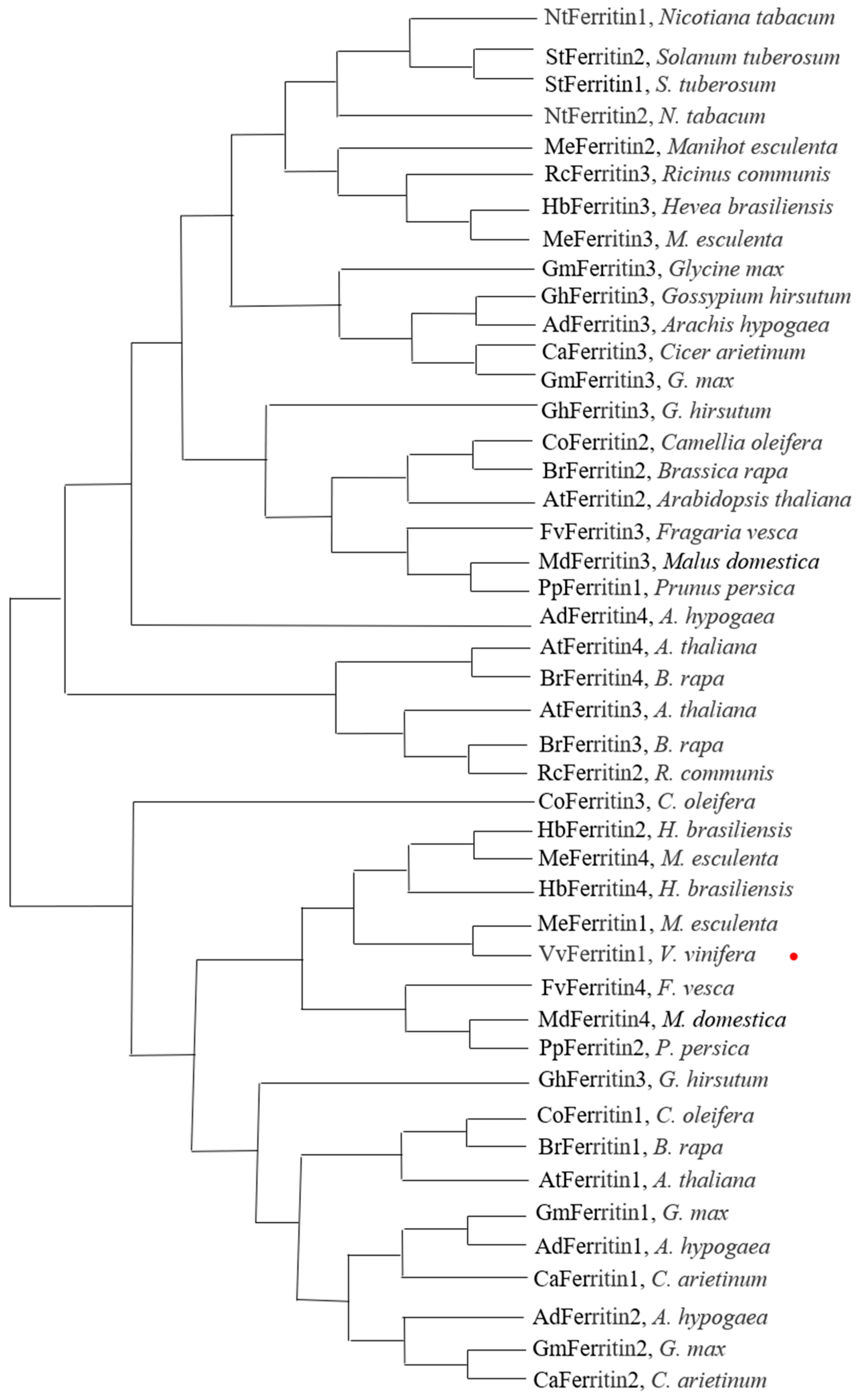 Horticulturae 11 00146 g003