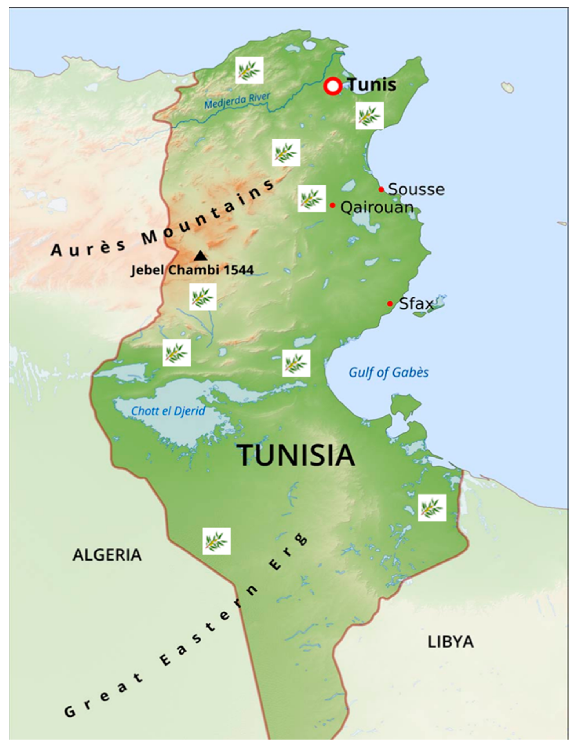 Horticulturae 11 00147 g001