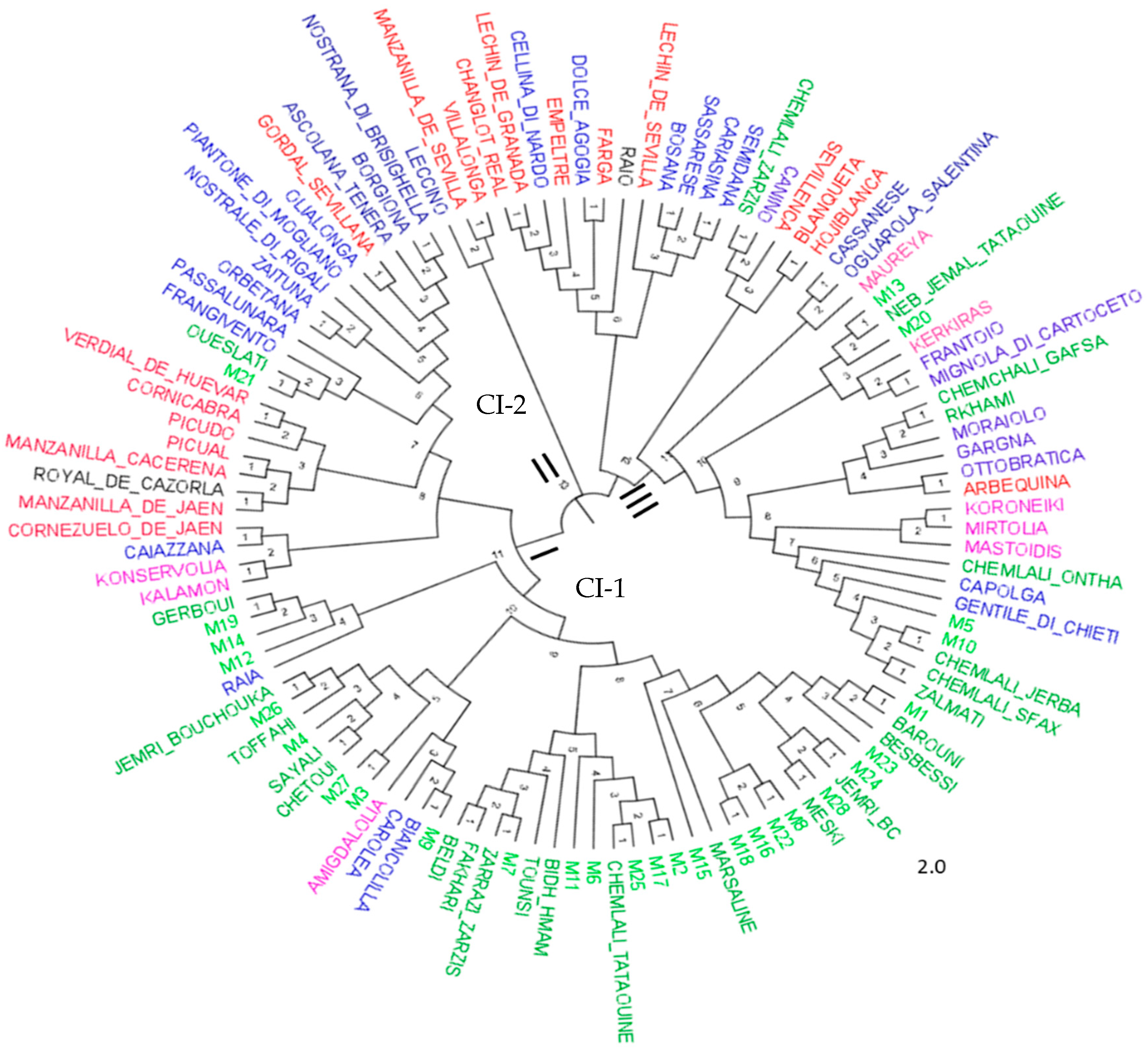 Horticulturae 11 00147 g004