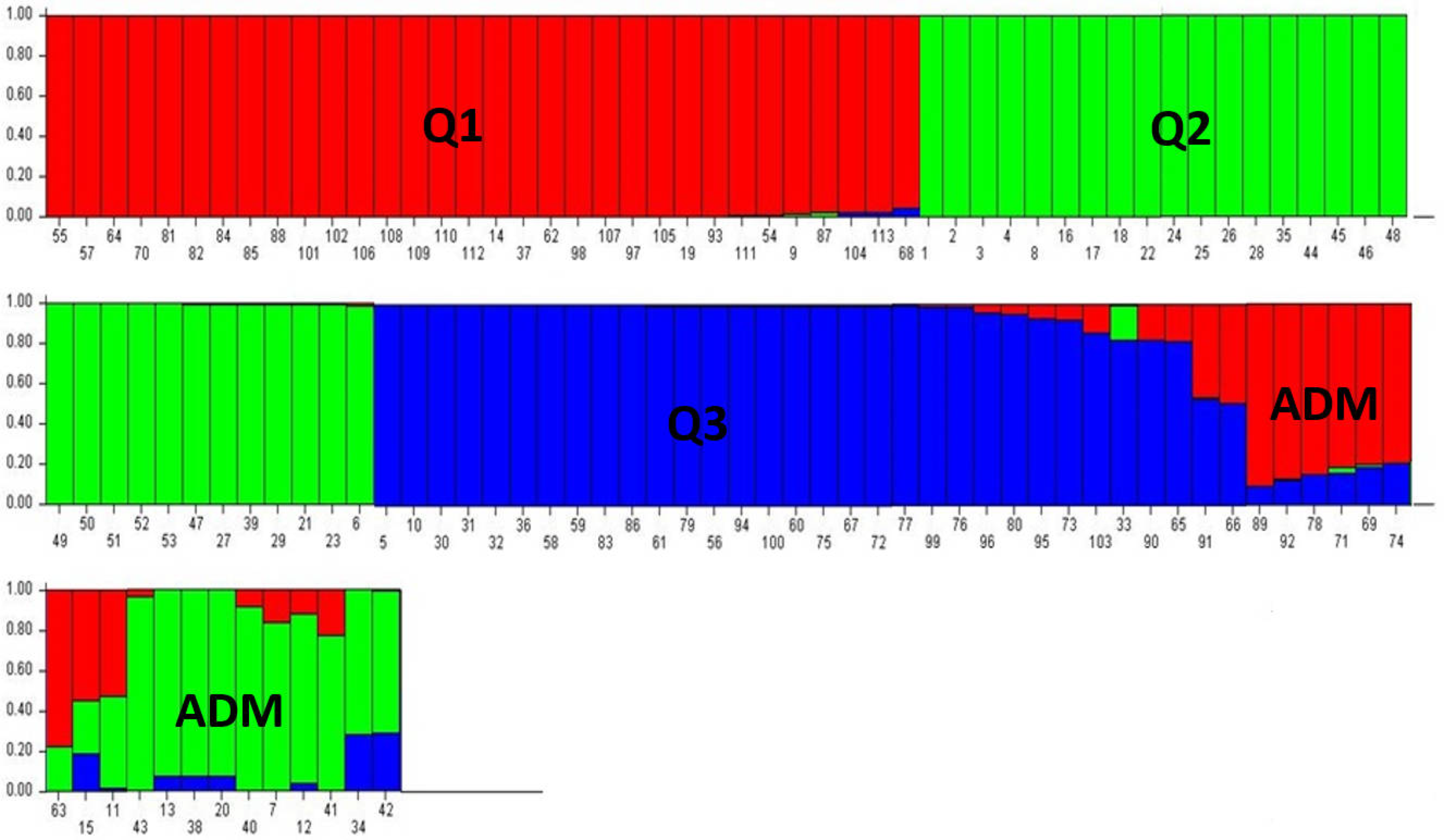 Horticulturae 11 00147 g005