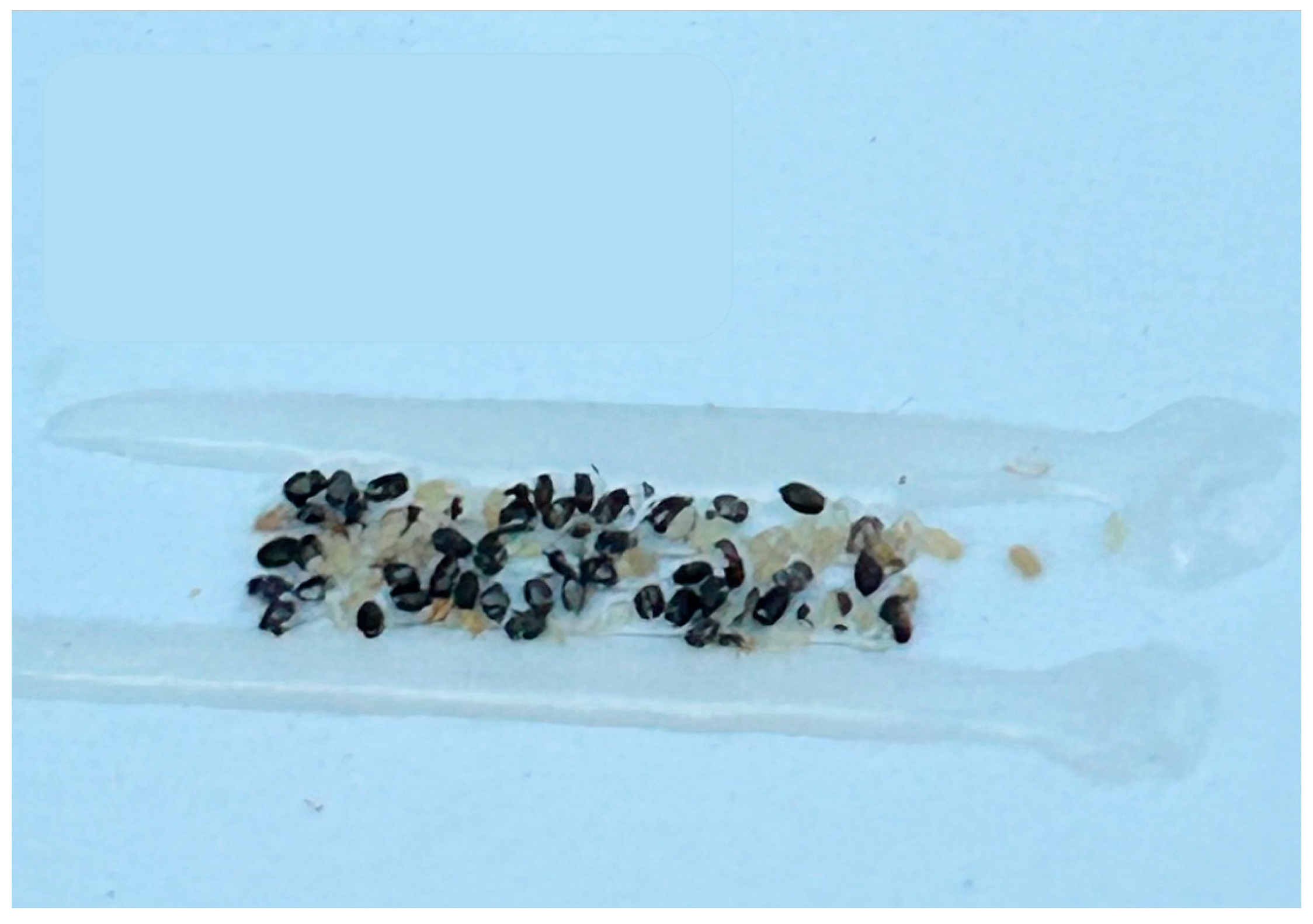 Horticulturae 11 00155 g003