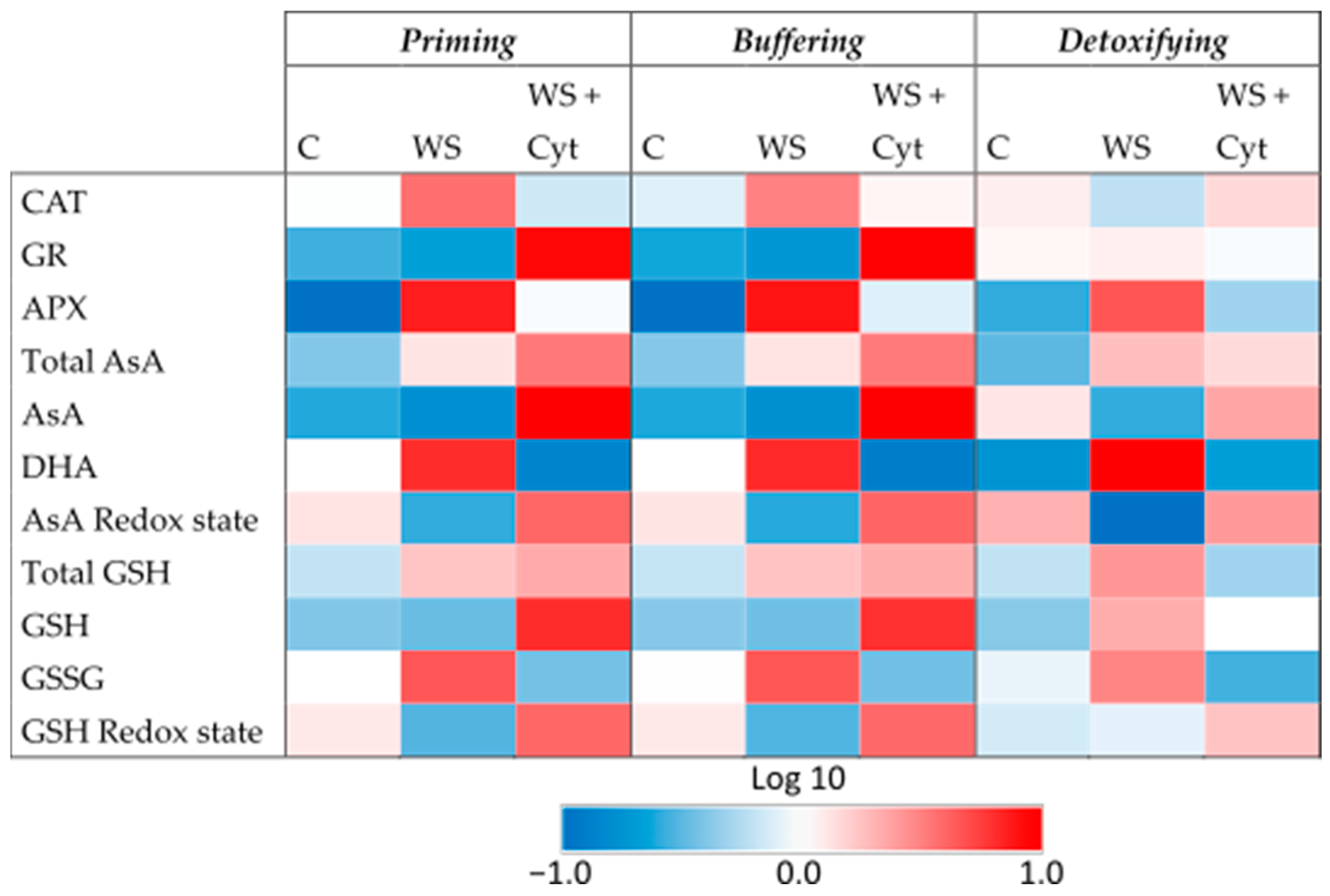 Horticulturae 11 00157 g002