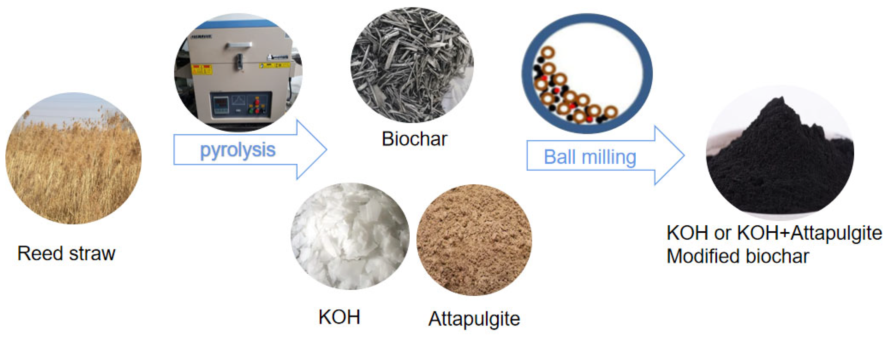 Horticulturae 11 00168 g001