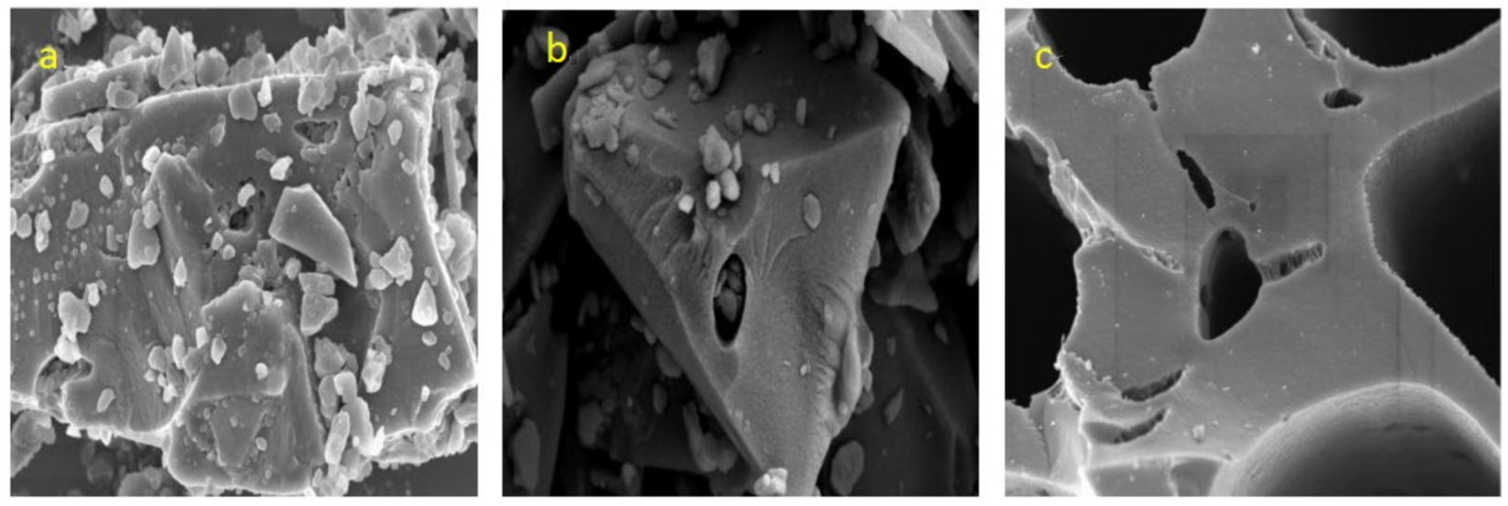 Horticulturae 11 00168 g002