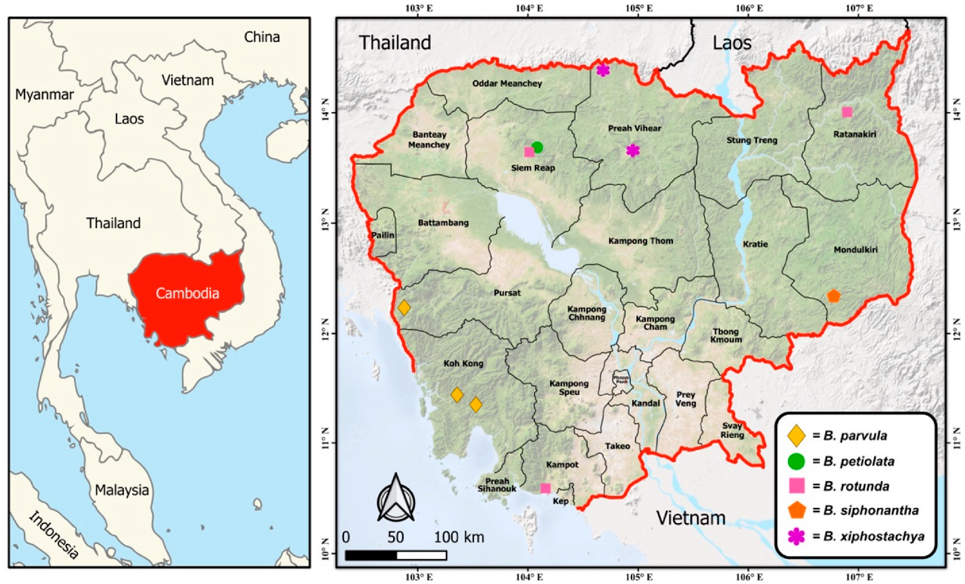 Horticulturae 11 00178 g001