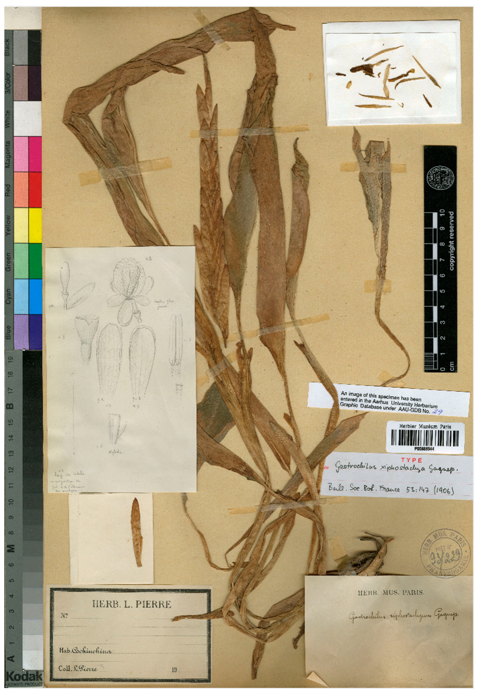 Horticulturae 11 00178 g004