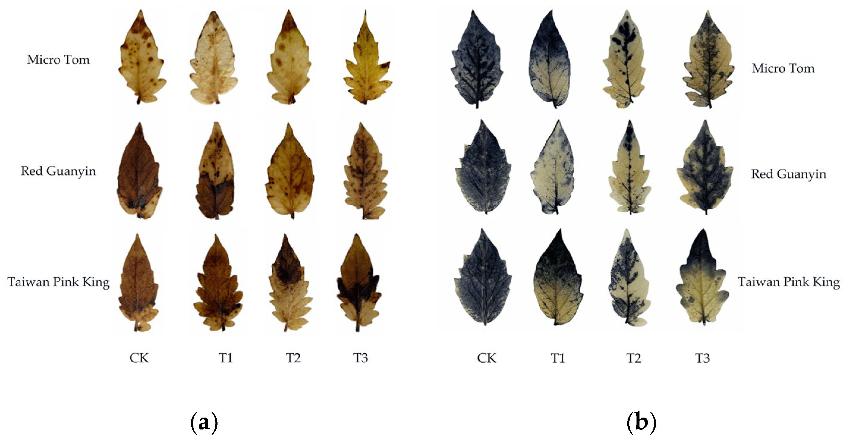 Horticulturae 11 00179 g003