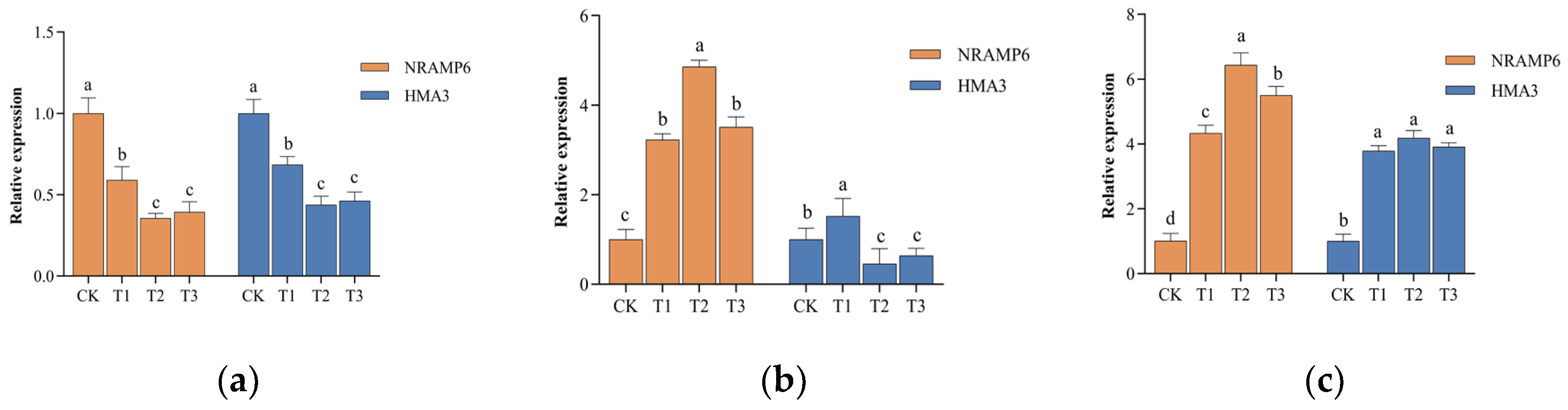 Horticulturae 11 00179 g004
