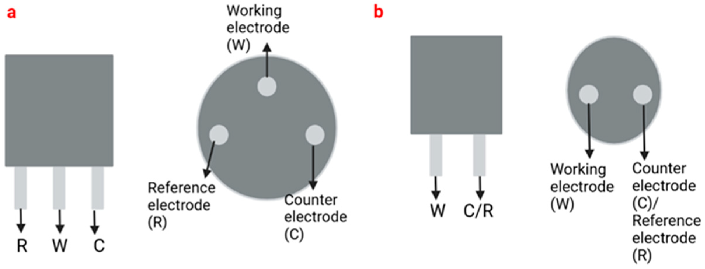 Horticulturae 11 00182 g001