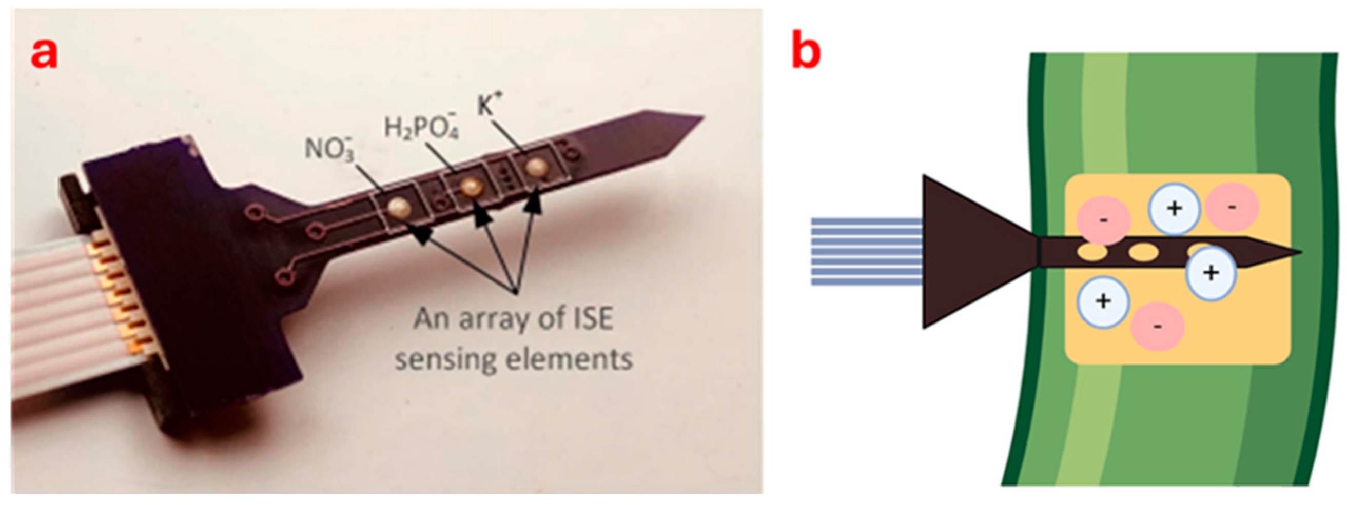 Horticulturae 11 00182 g002