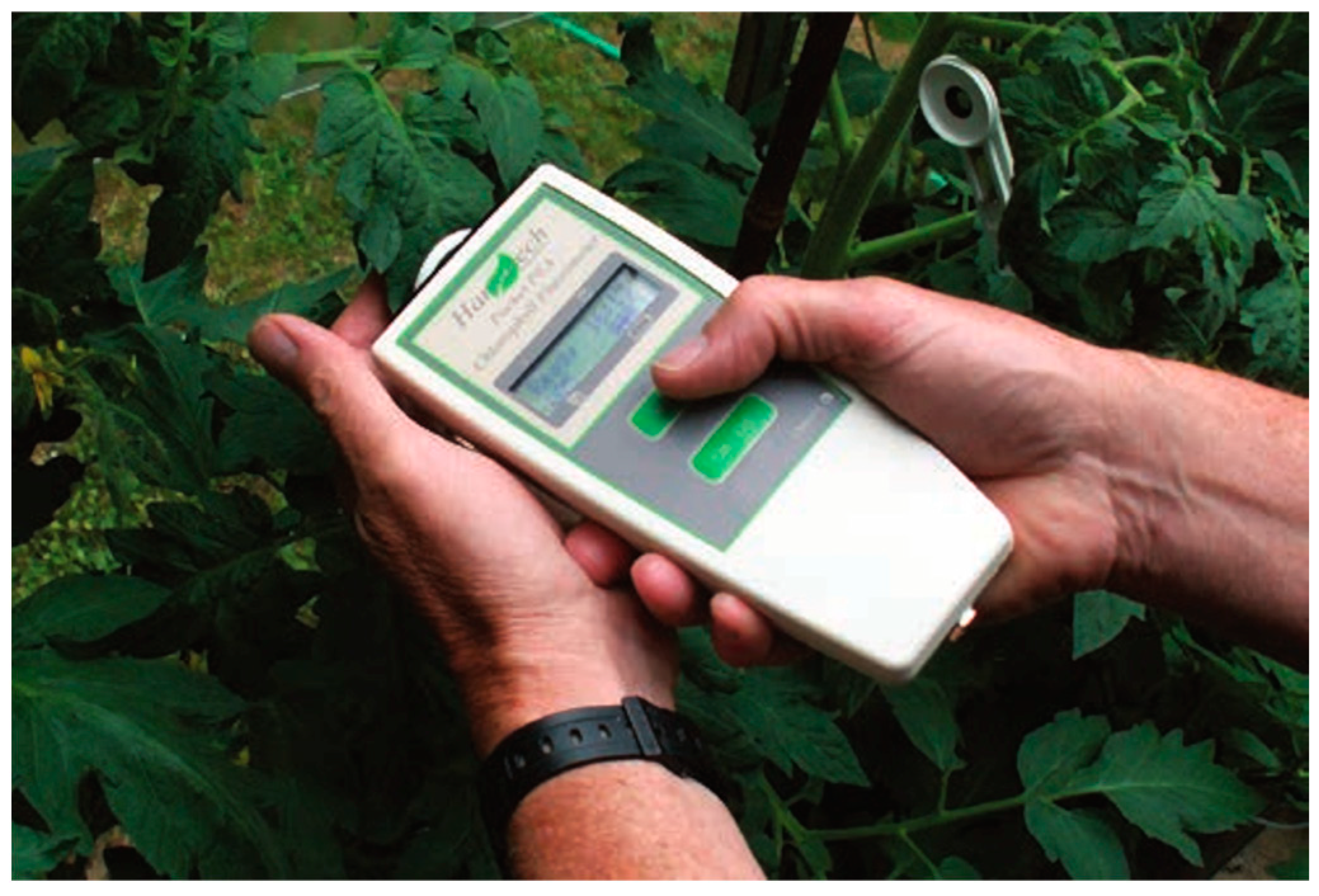 Horticulturae 11 00182 g009