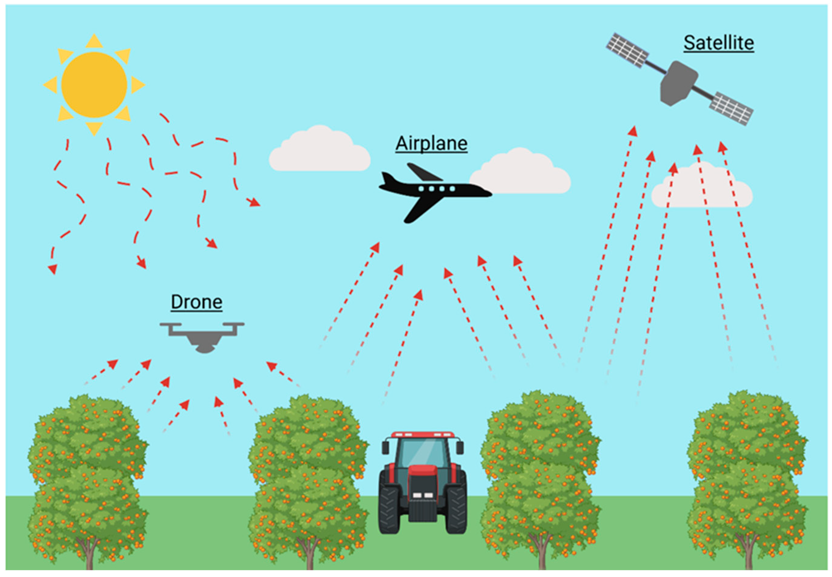 Horticulturae 11 00182 g010
