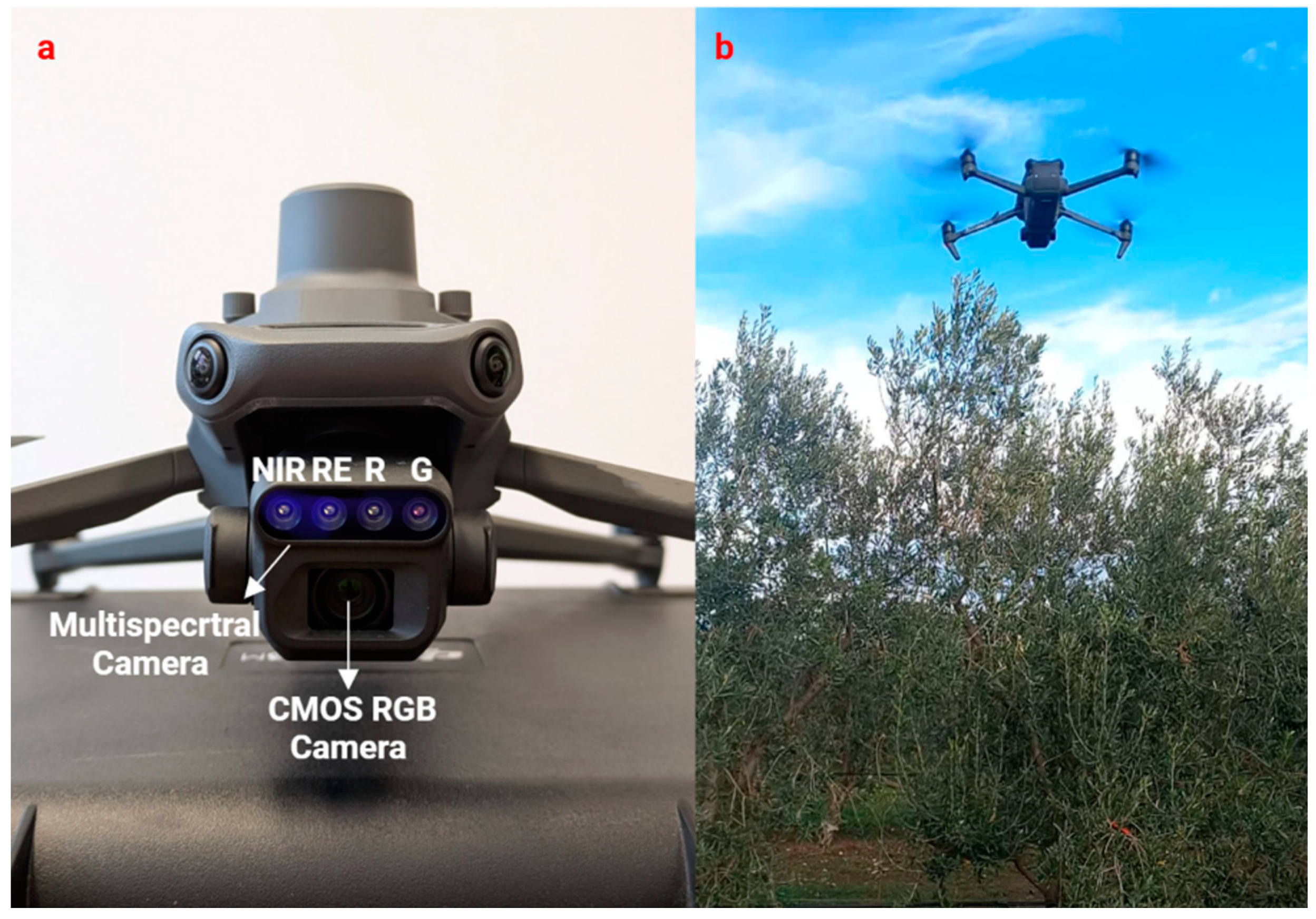 Horticulturae 11 00182 g011