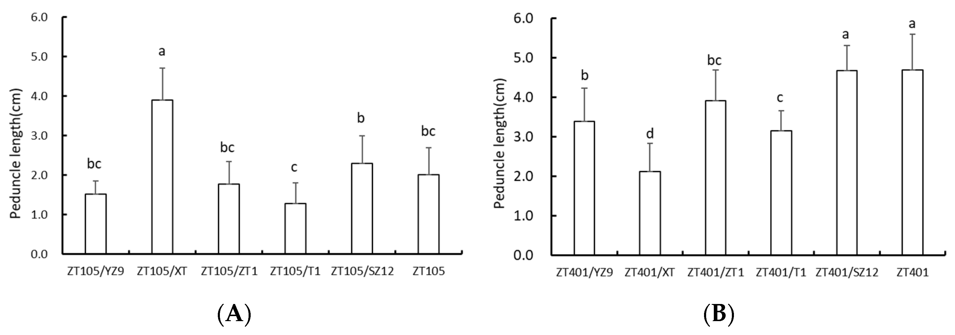 Horticulturae 11 00183 g003