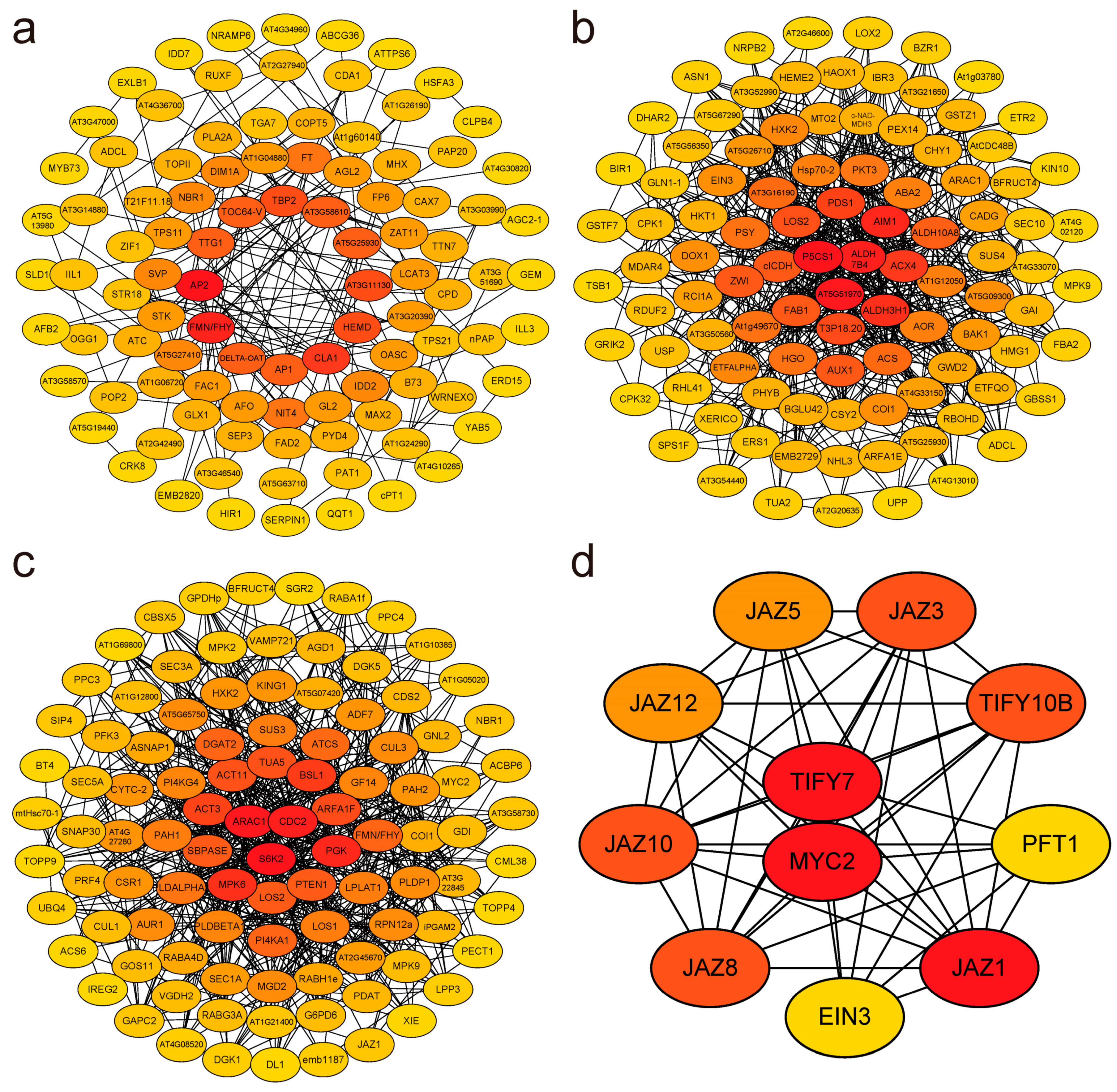 Horticulturae 11 00201 g007