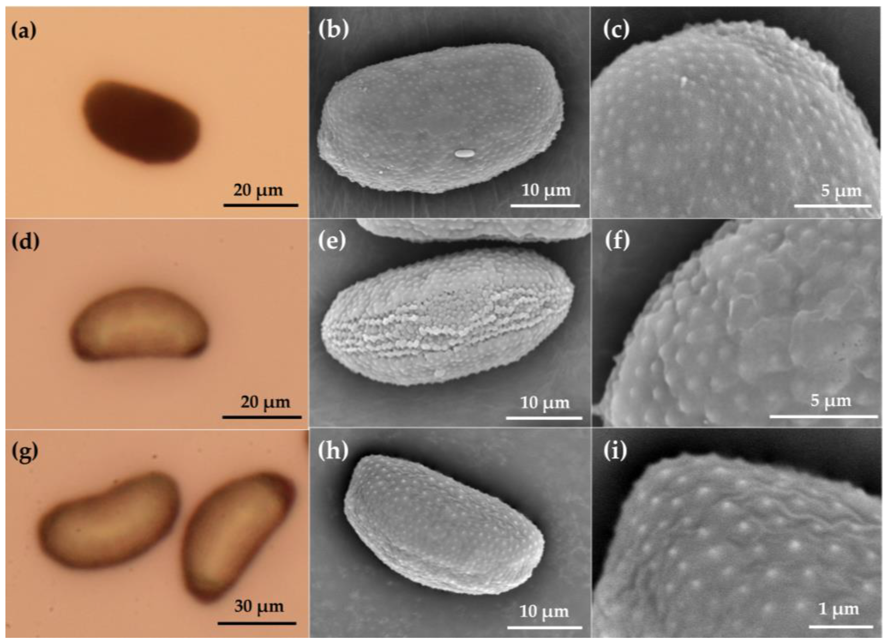 Horticulturae 11 00202 g008a