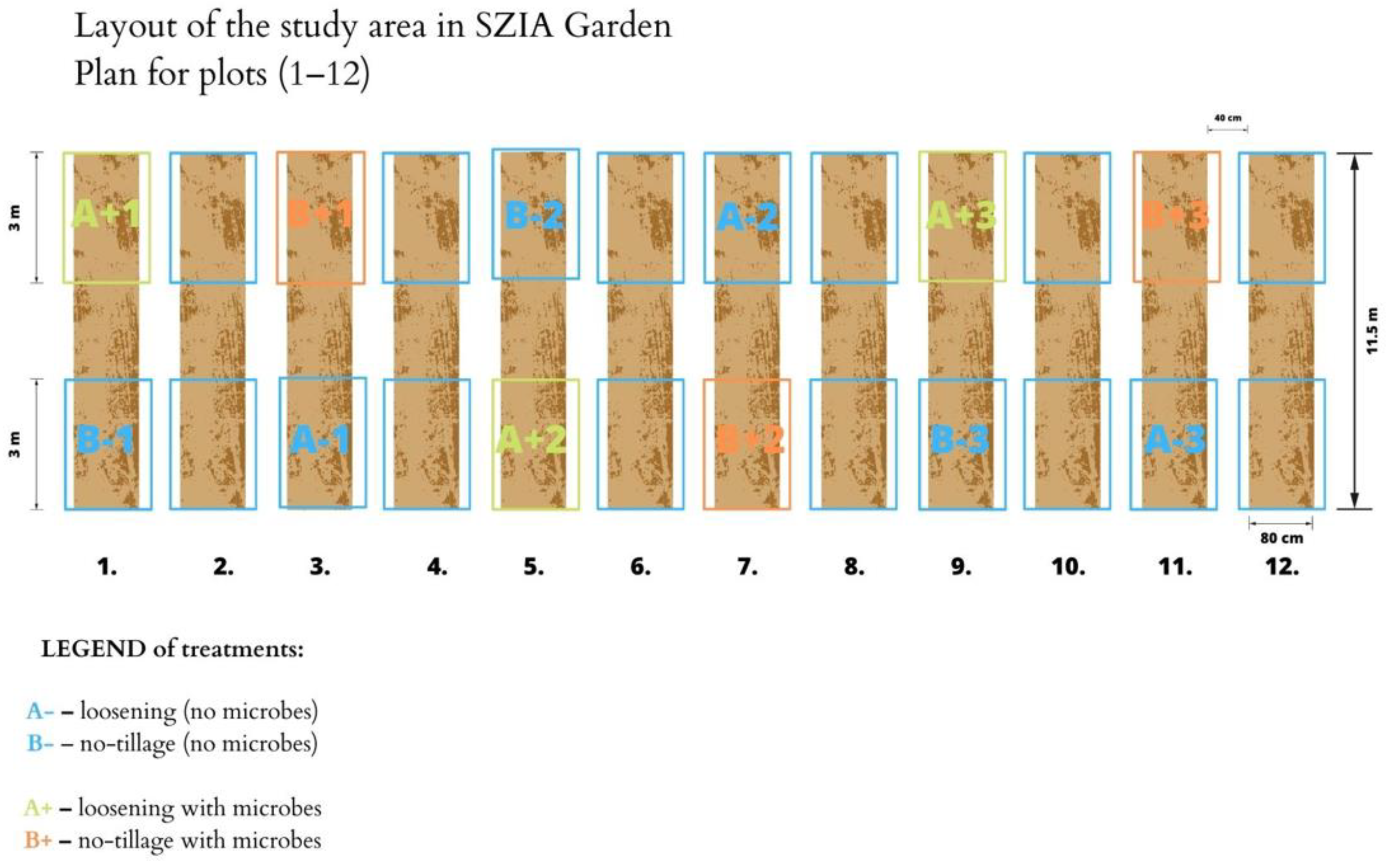 Horticulturae 11 00213 g001