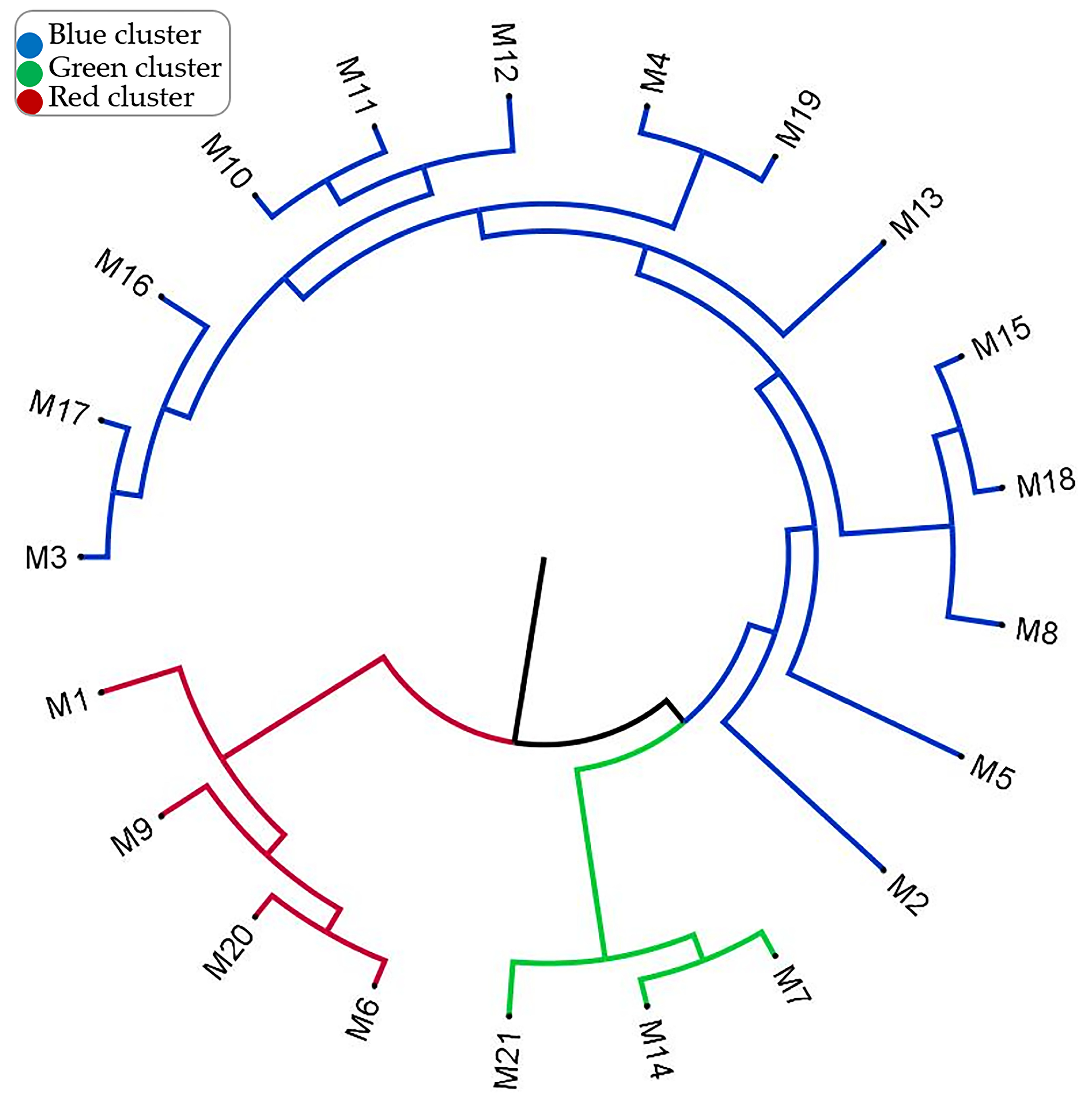 Horticulturae 11 00238 g004