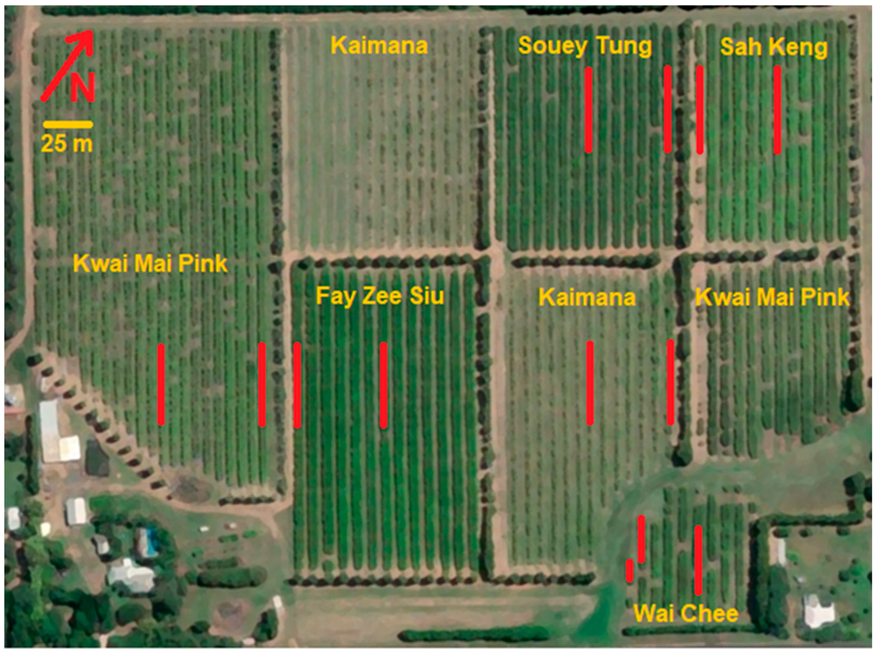 Horticulturae 11 00244 g001
