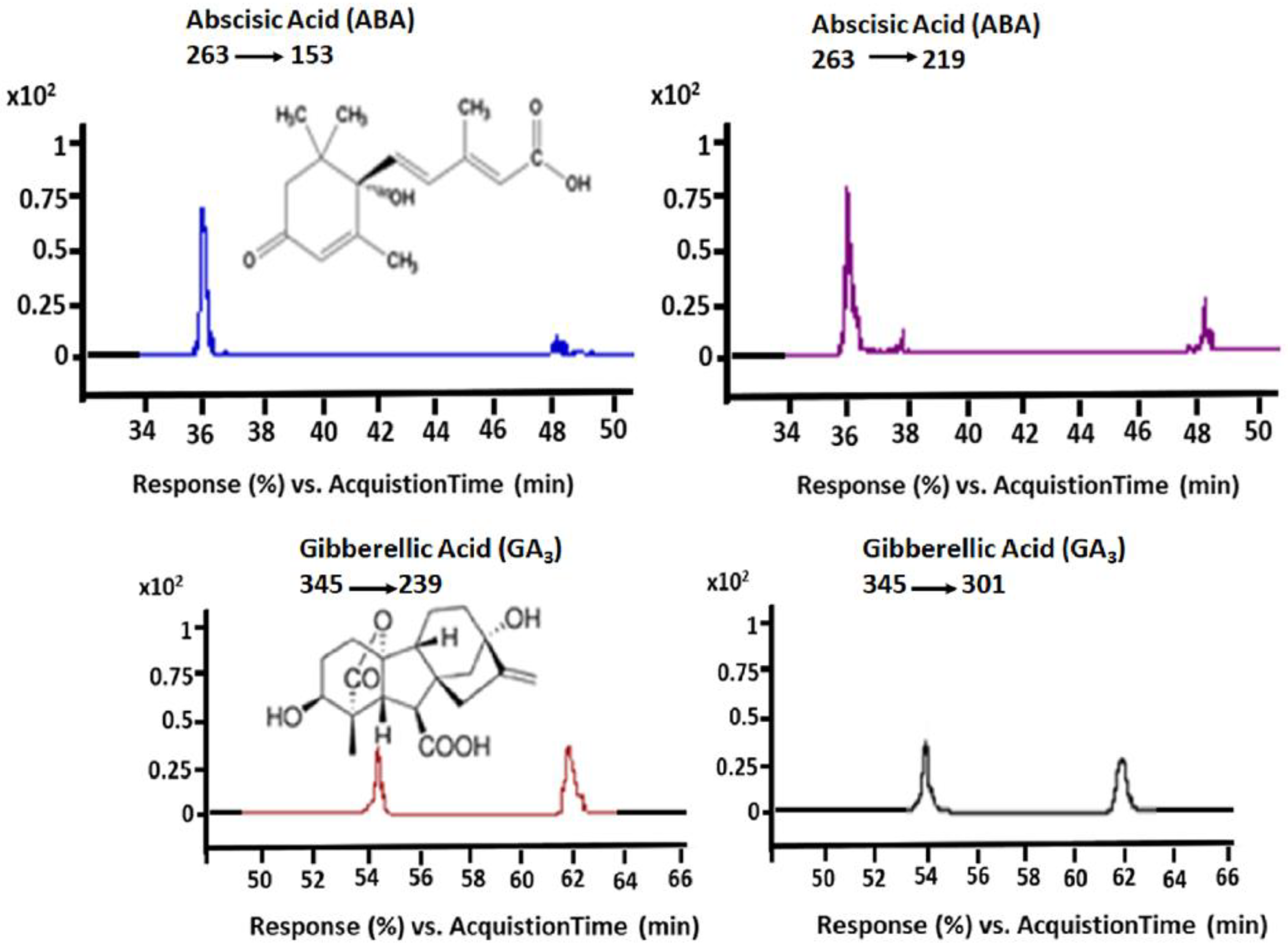 Horticulturae 11 00250 g001