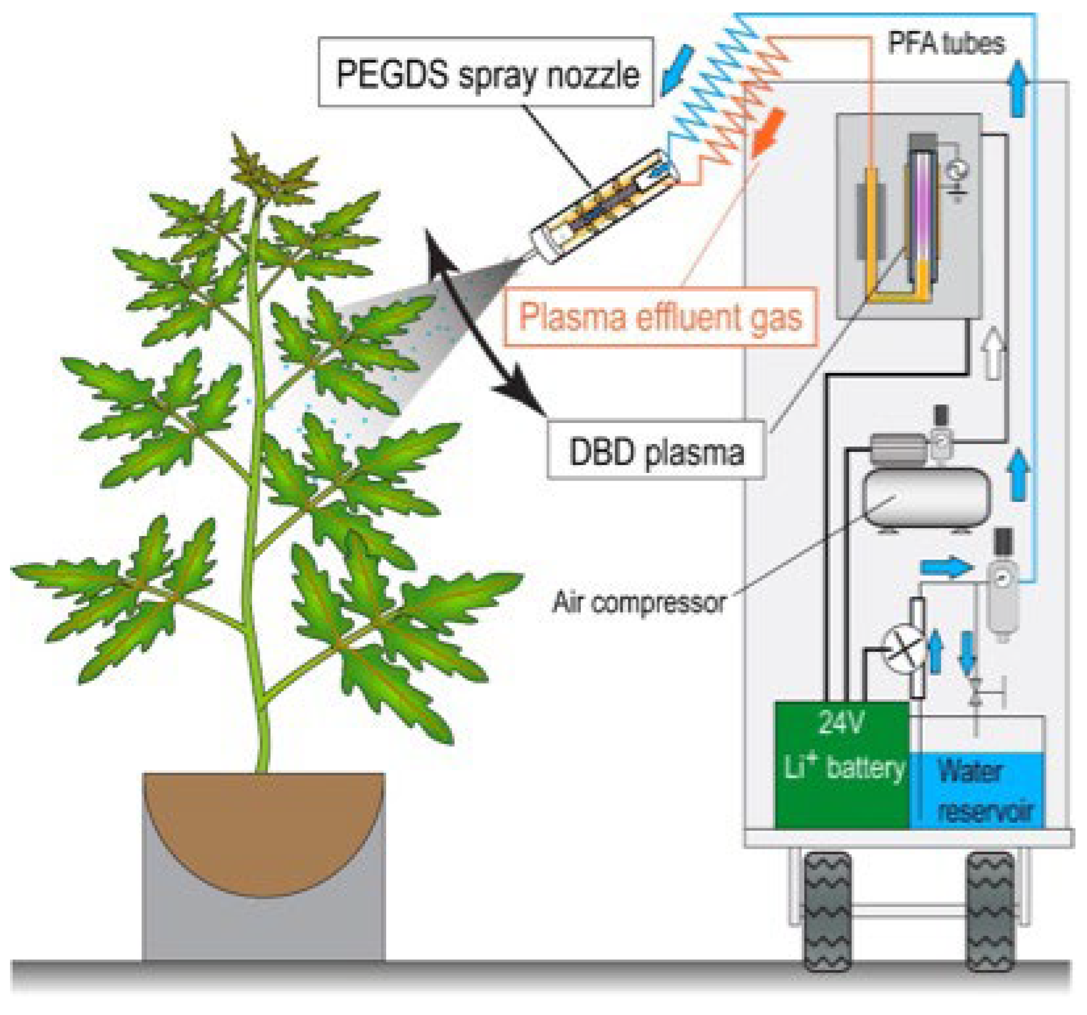 Horticulturae 11 00276 g002
