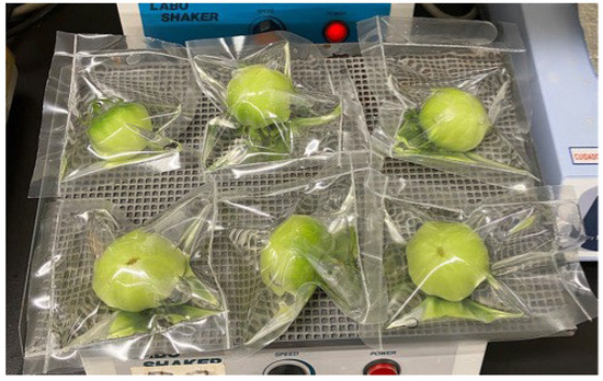 Horticulturae 11 00276 g0a2