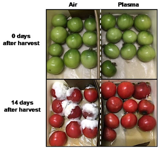 Horticulturae 11 00276 g0a8