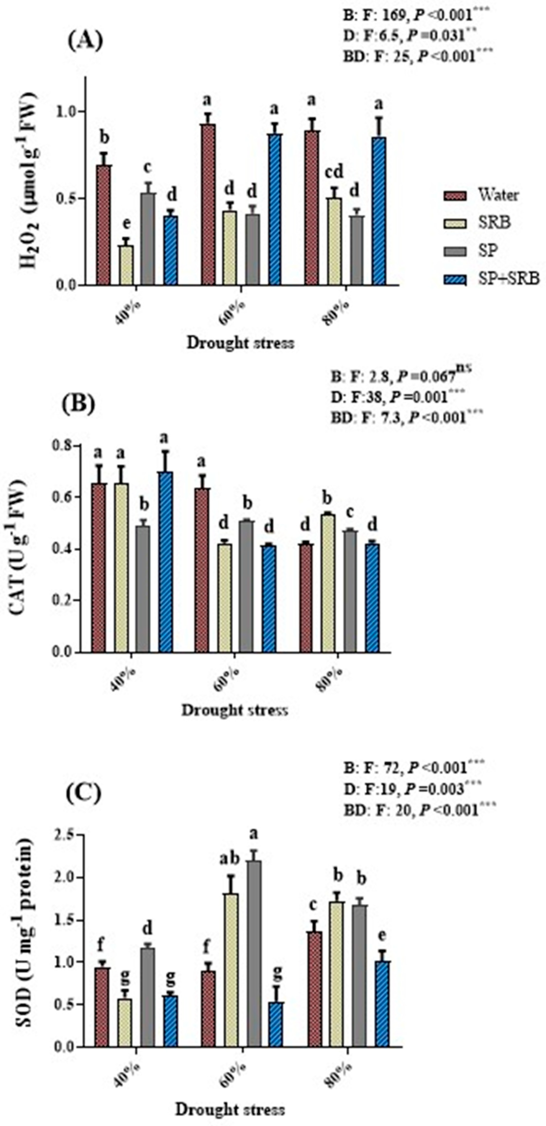 Horticulturae 11 00278 g002