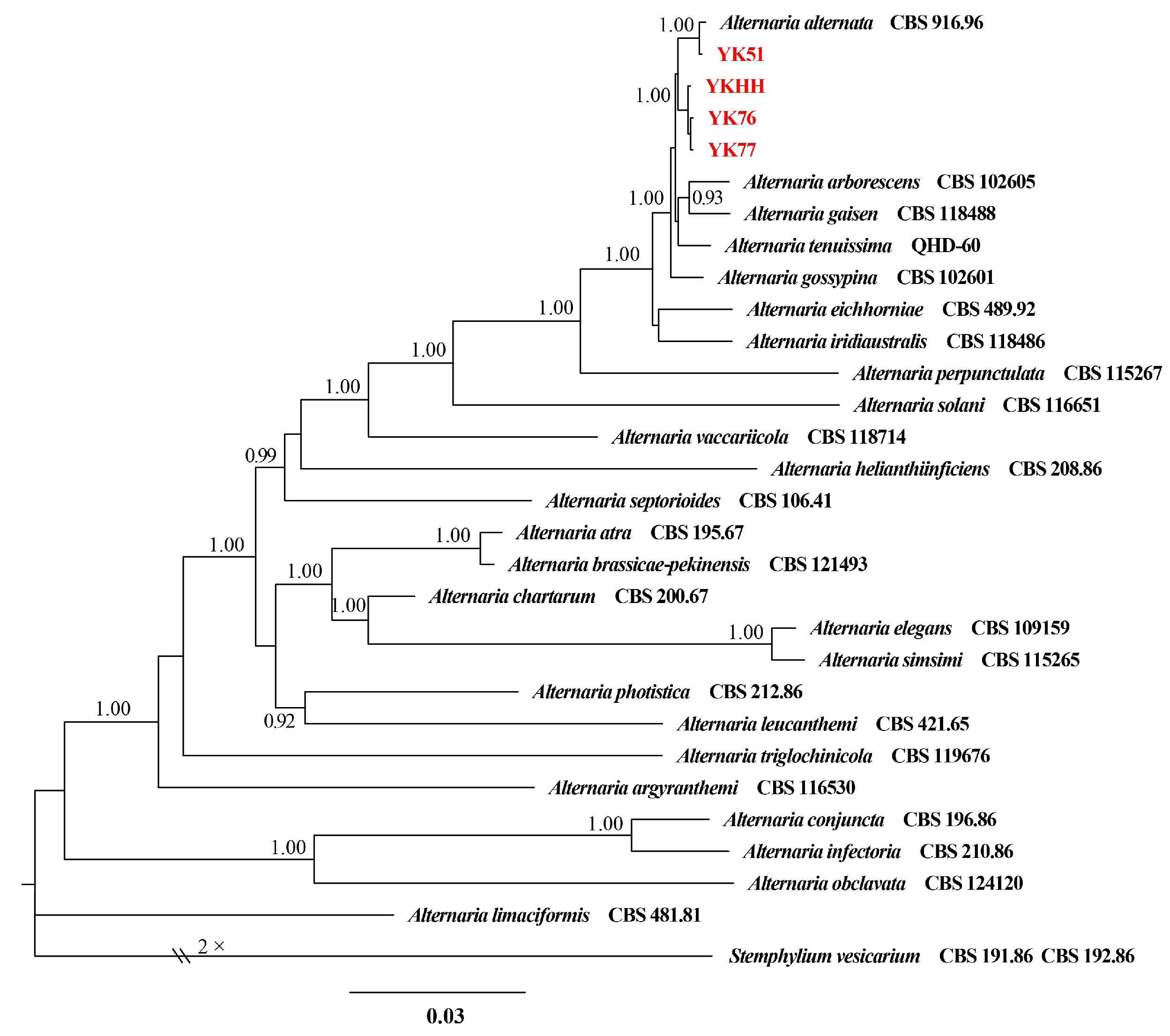 Horticulturae 11 00279 g002