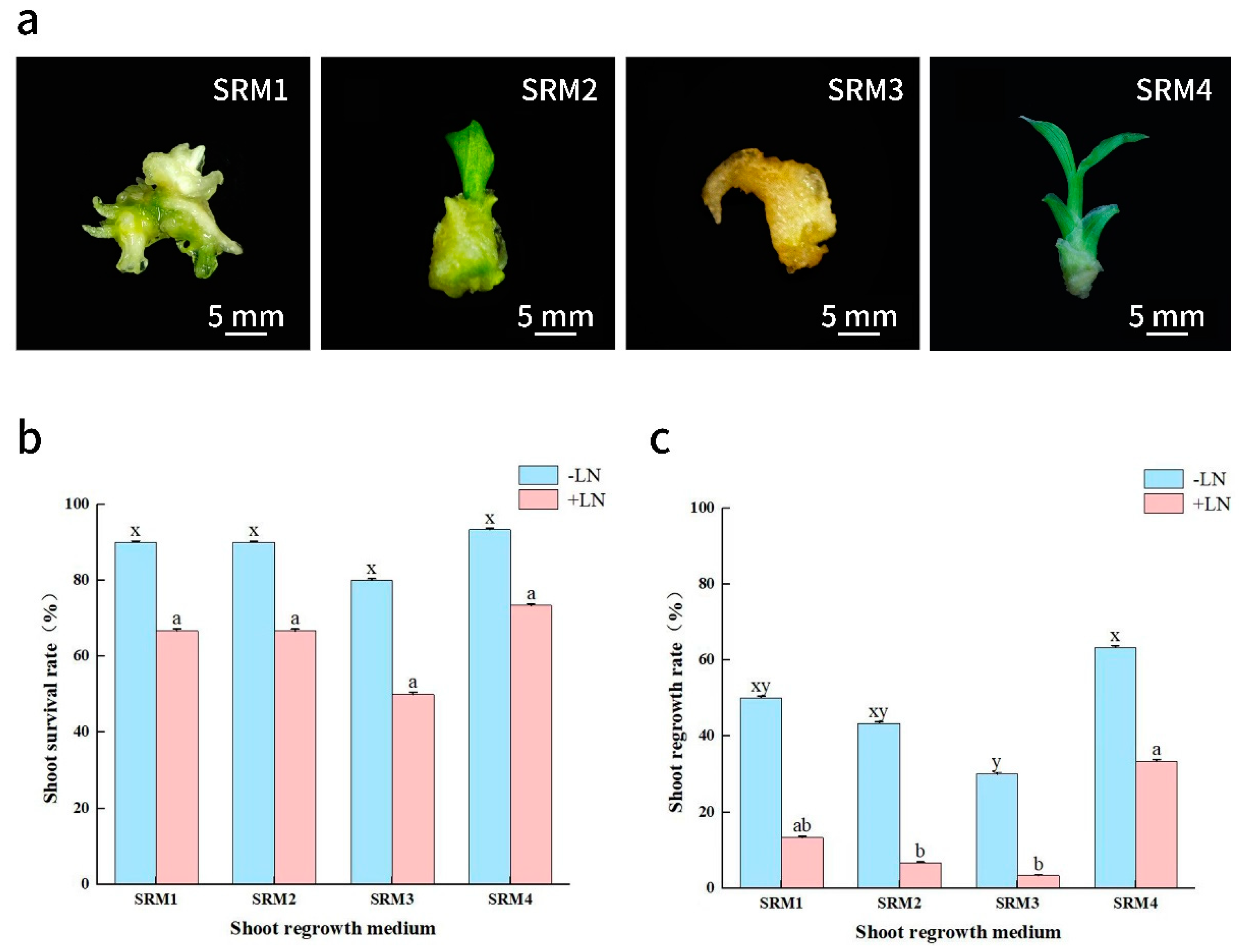 Horticulturae 11 00283 g003