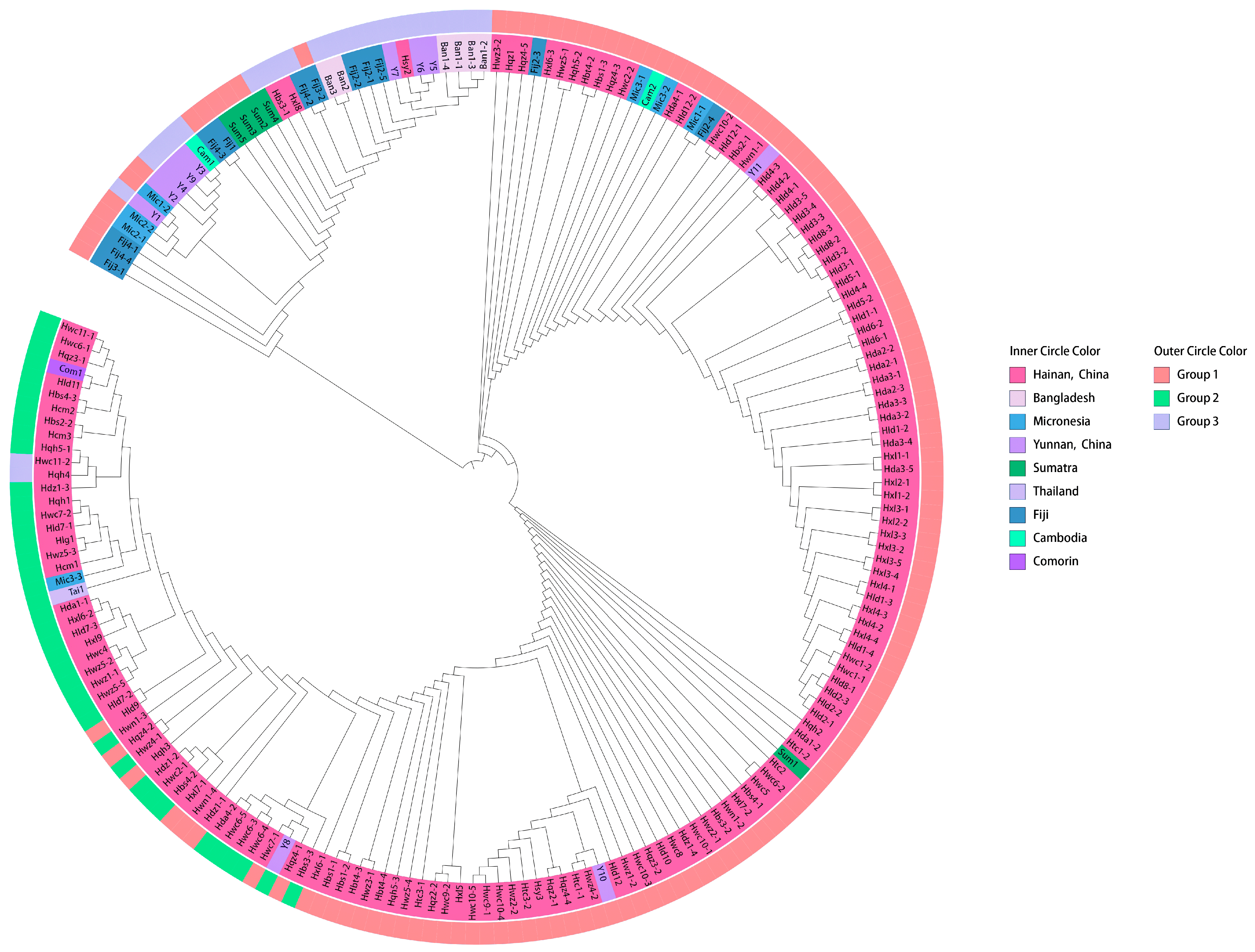 Horticulturae 11 00295 g003