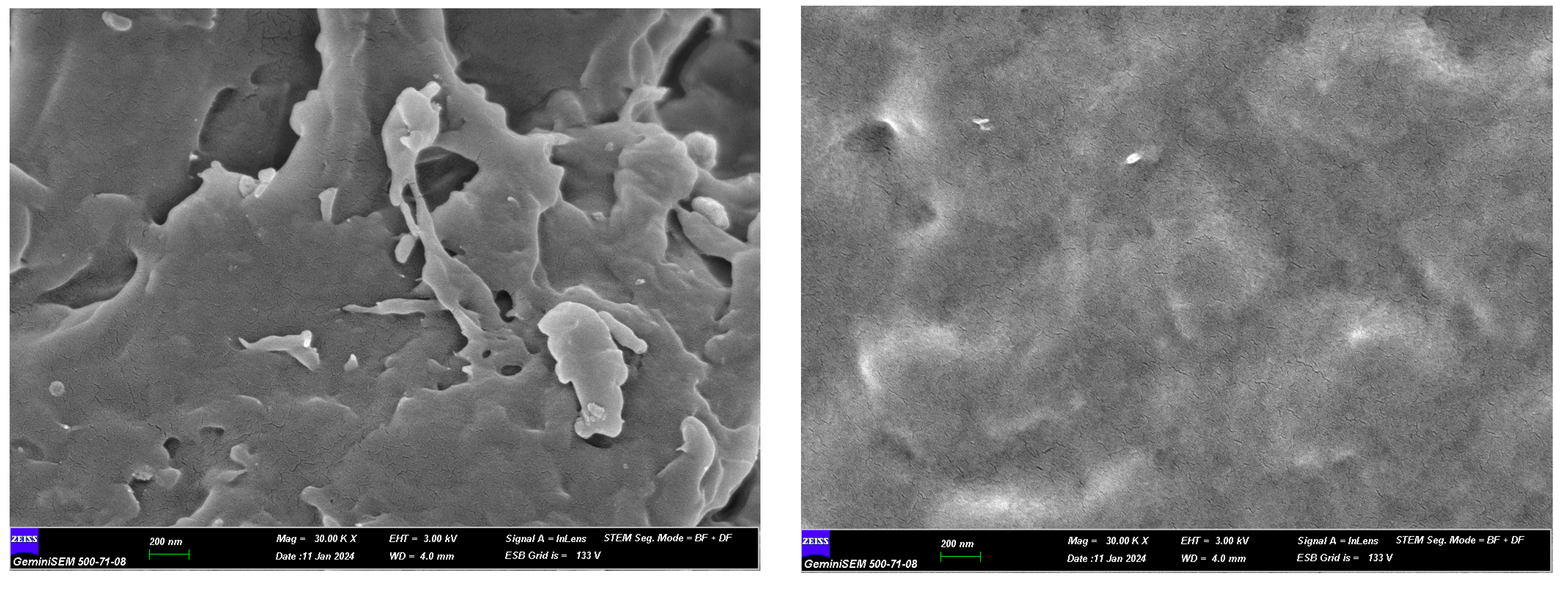 Horticulturae 11 00303 g005