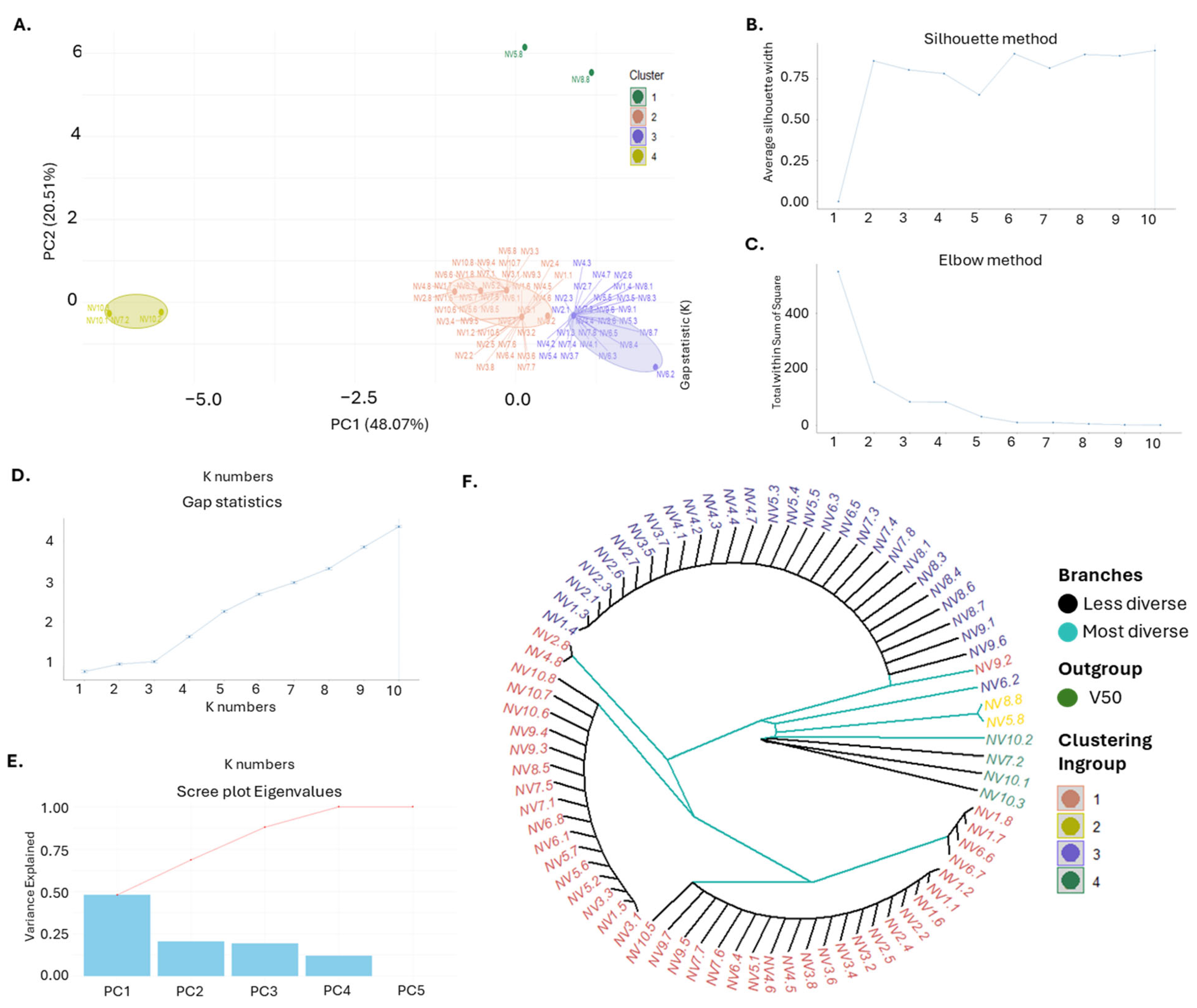Horticulturae 11 00304 g006