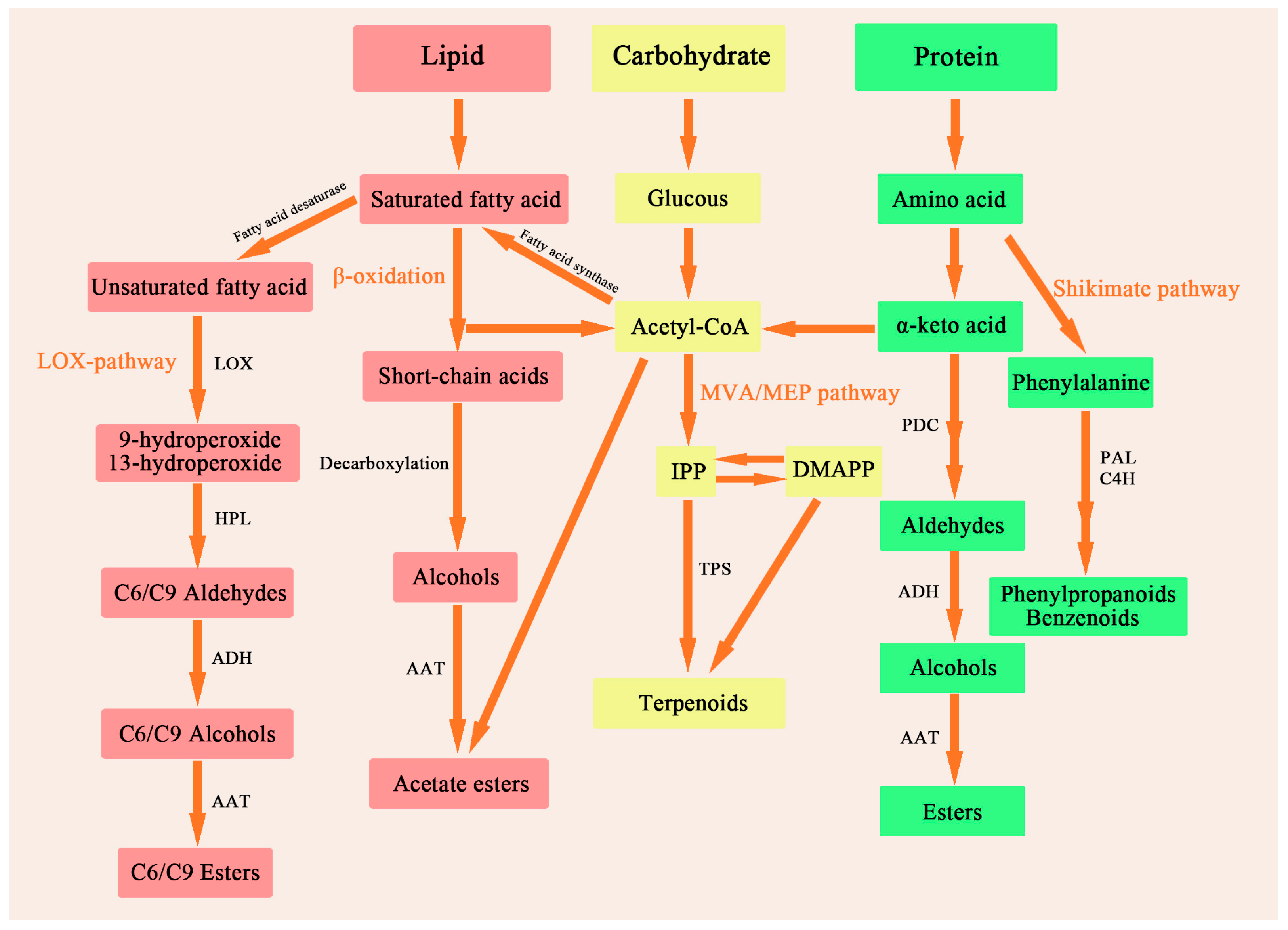 Horticulturae 11 00310 g001