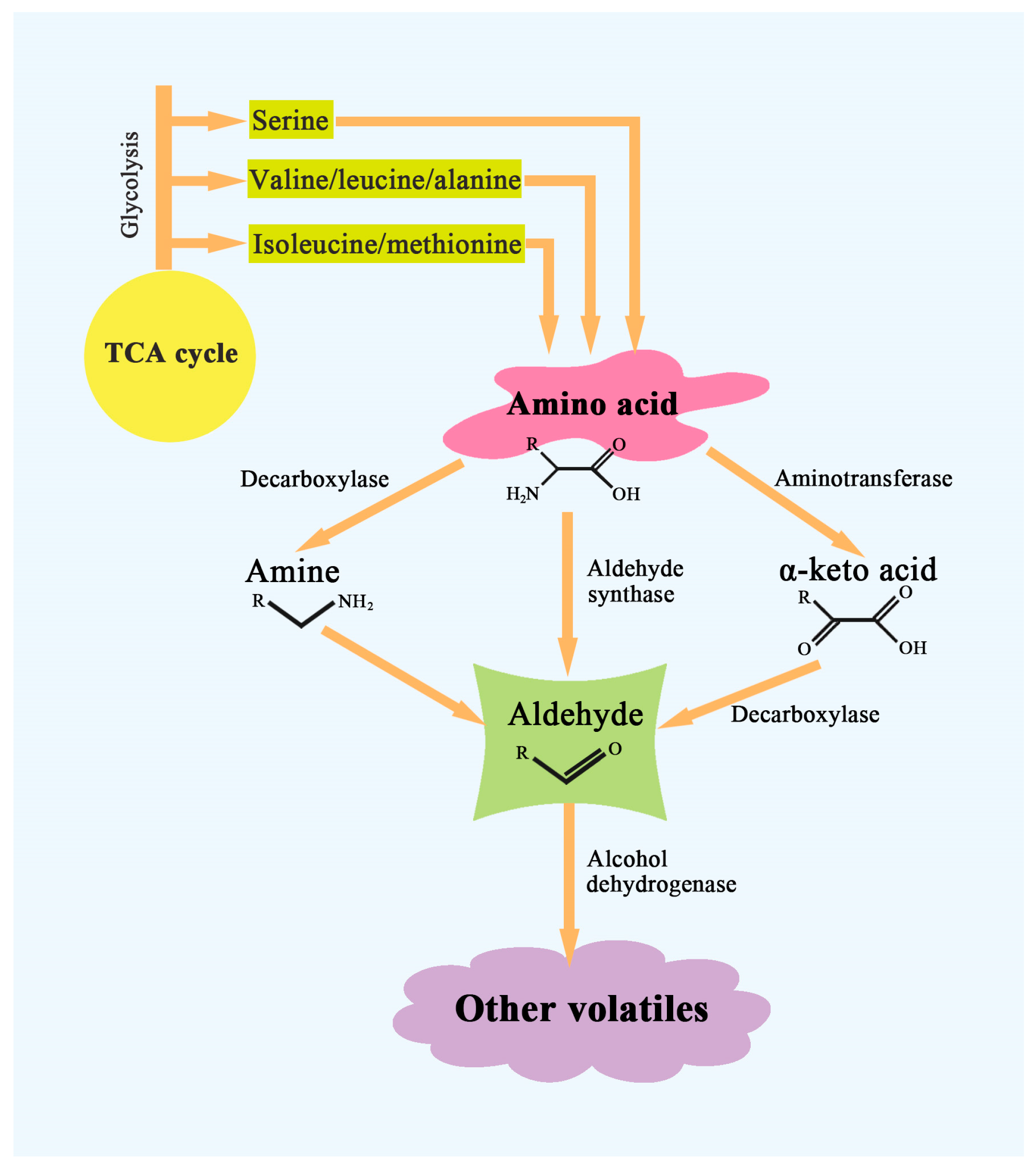 Horticulturae 11 00310 g003