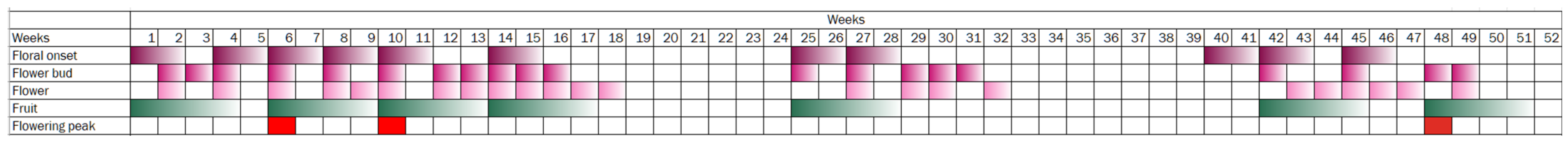 Horticulturae 11 00311 g002 Horticulturae 11 00311 g002