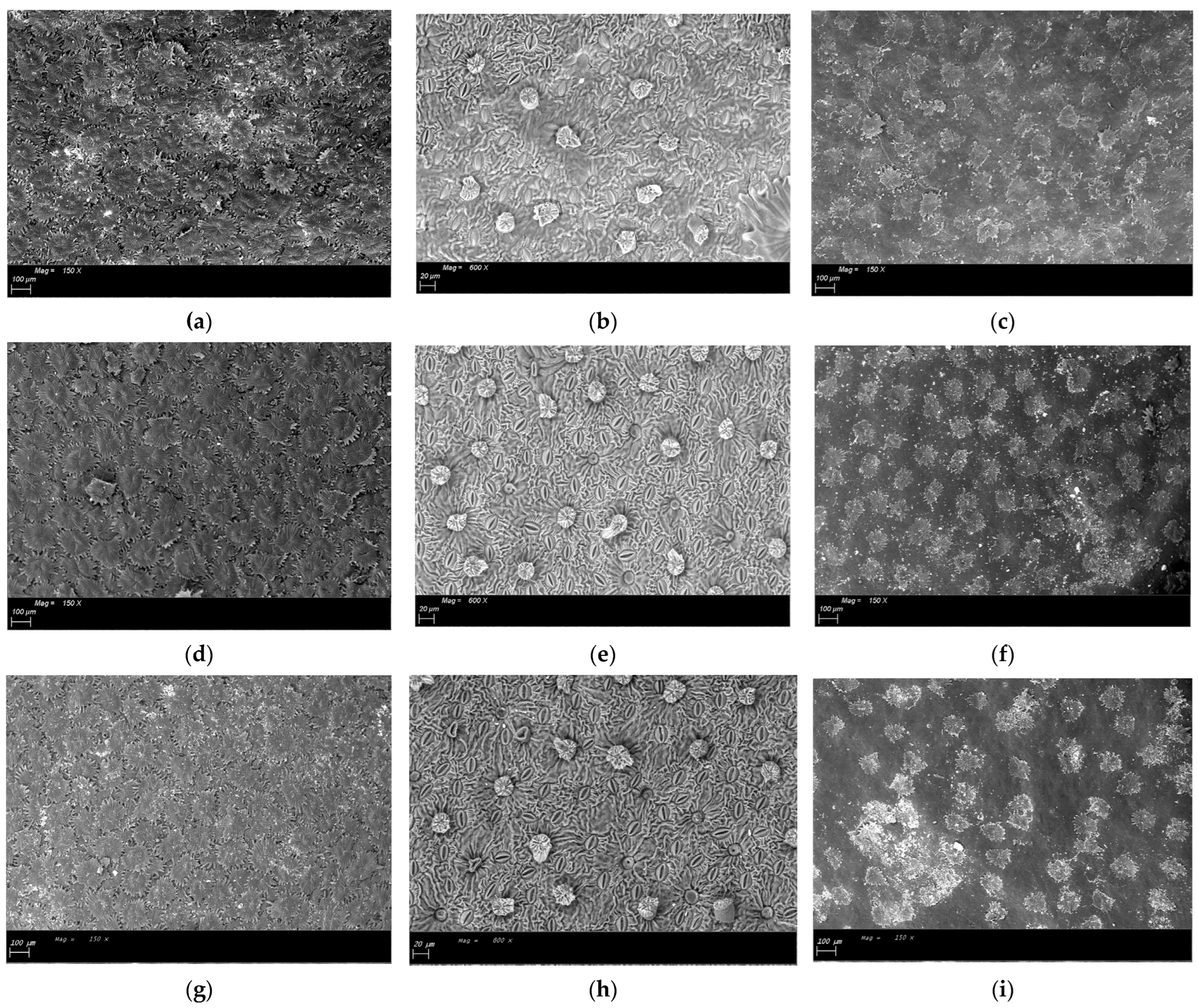 Horticulturae 11 00338 g003