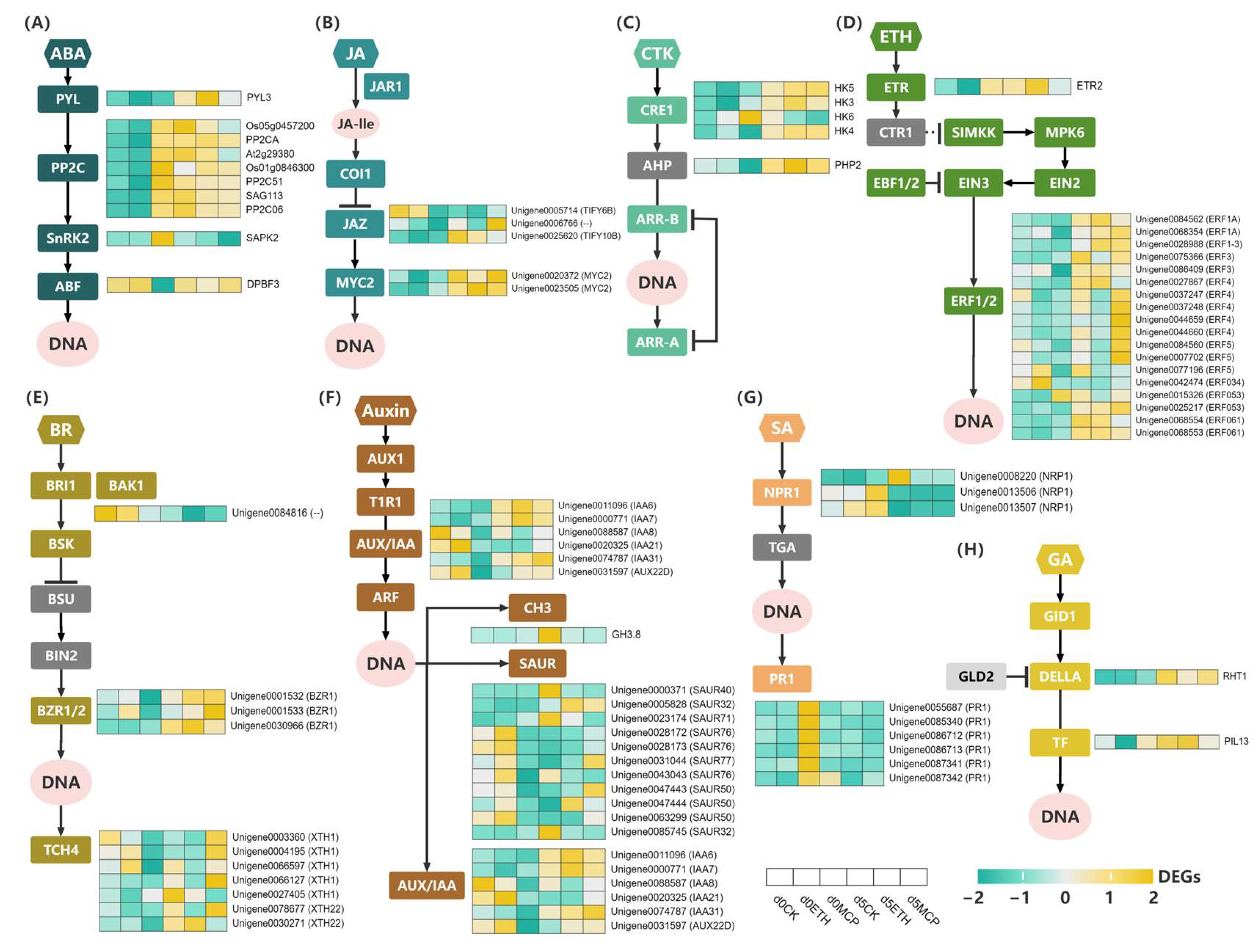 Horticulturae 11 00386 g007